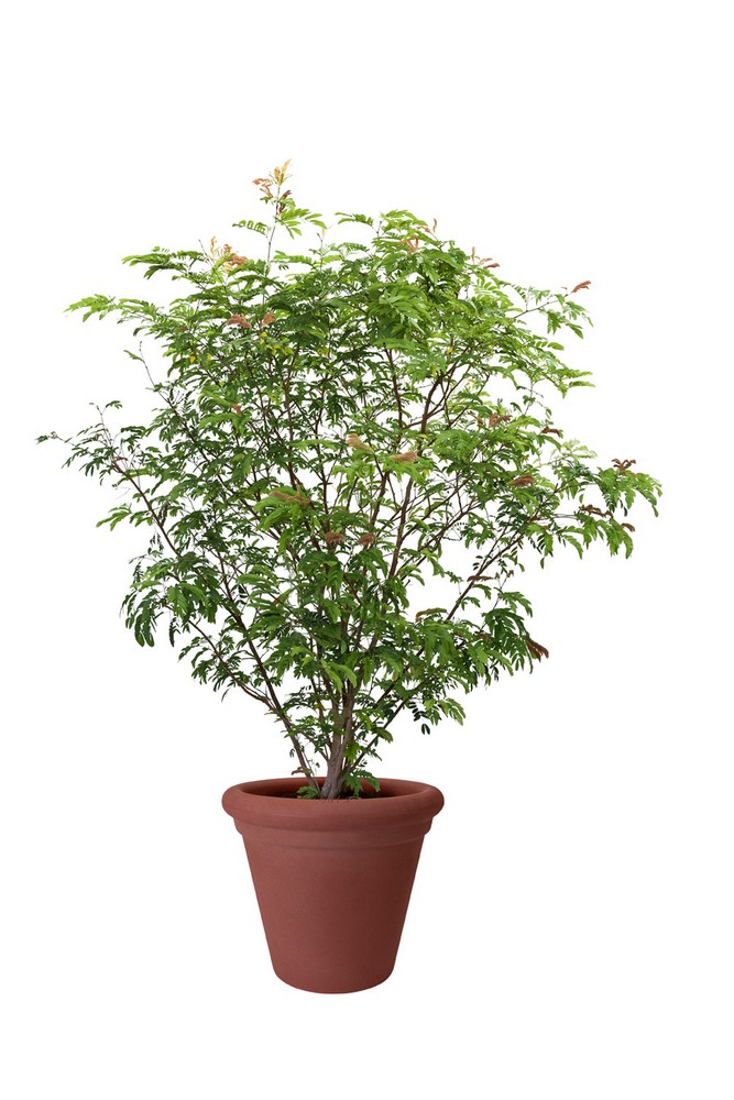 23b076aeb13b66730b4d5fff5313ac5e.jpg d621c340093944f526651855eb261b8d