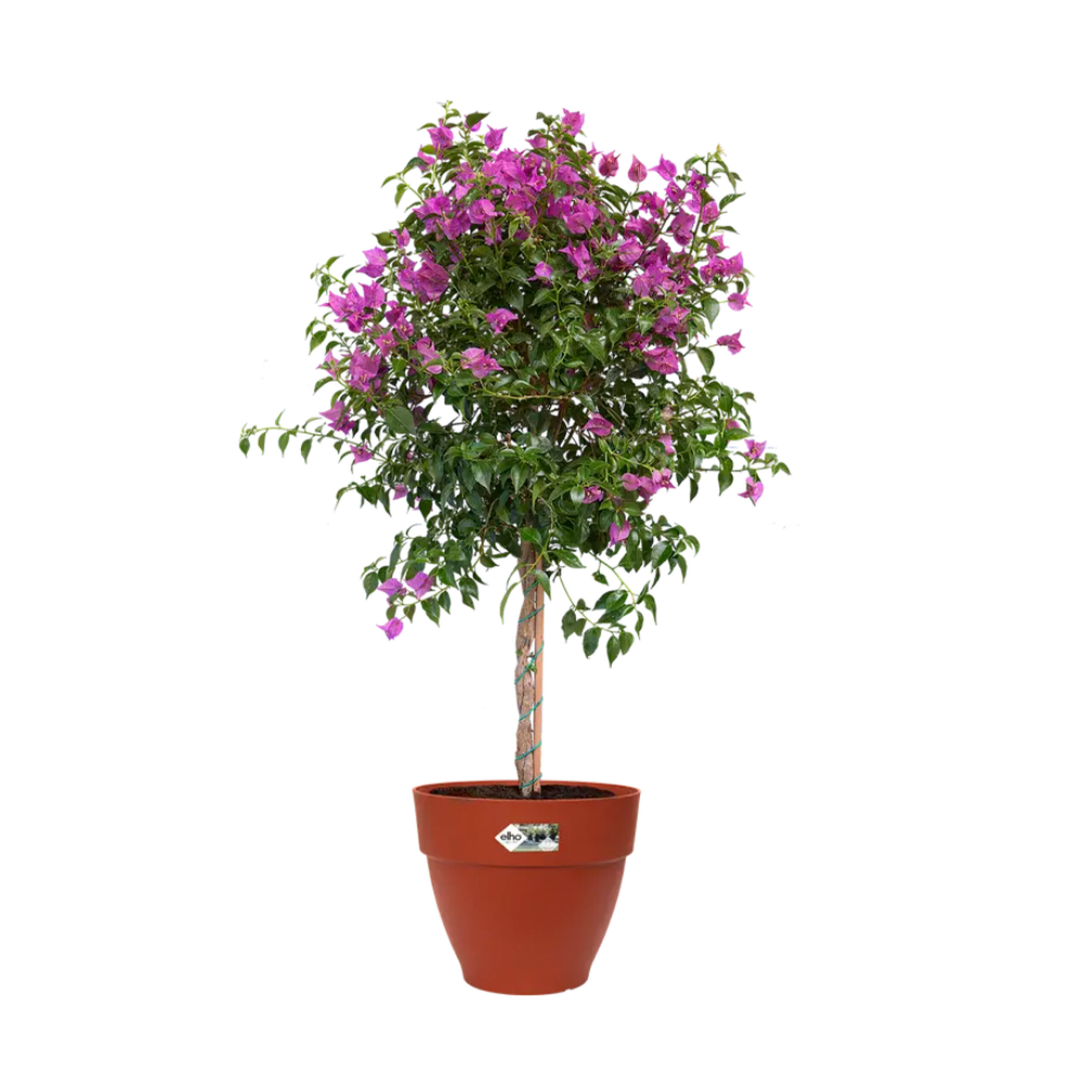 2a03a8f76228105d09f389f75c21b7c2-7.jpg 36f5cceff0506f2a6e23cf5c79407382