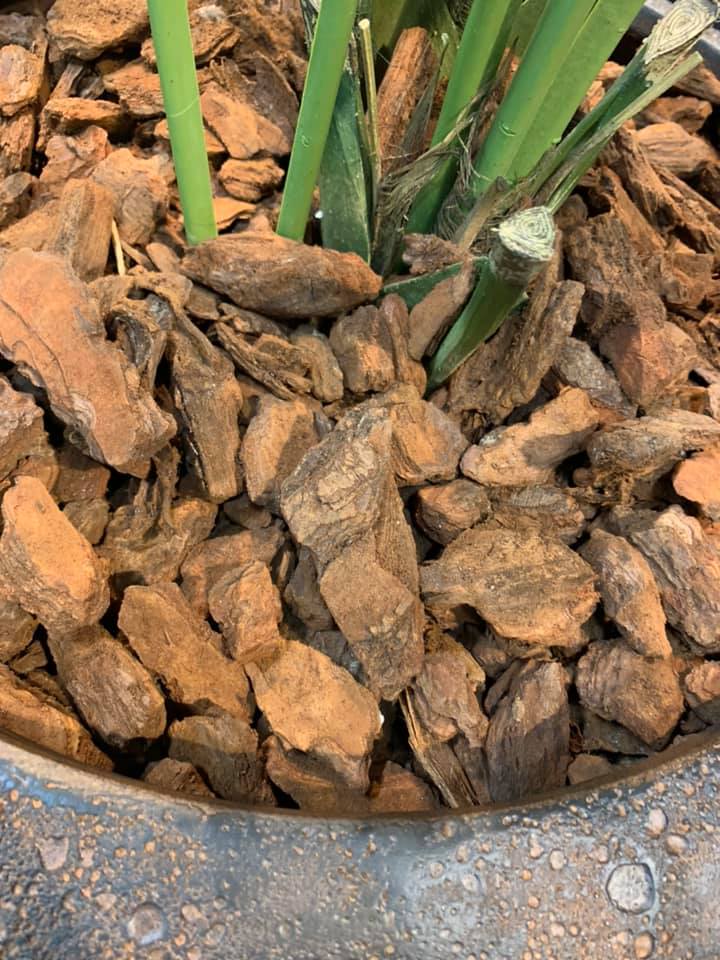 28bef5dad4877da4119549c8a49f431a