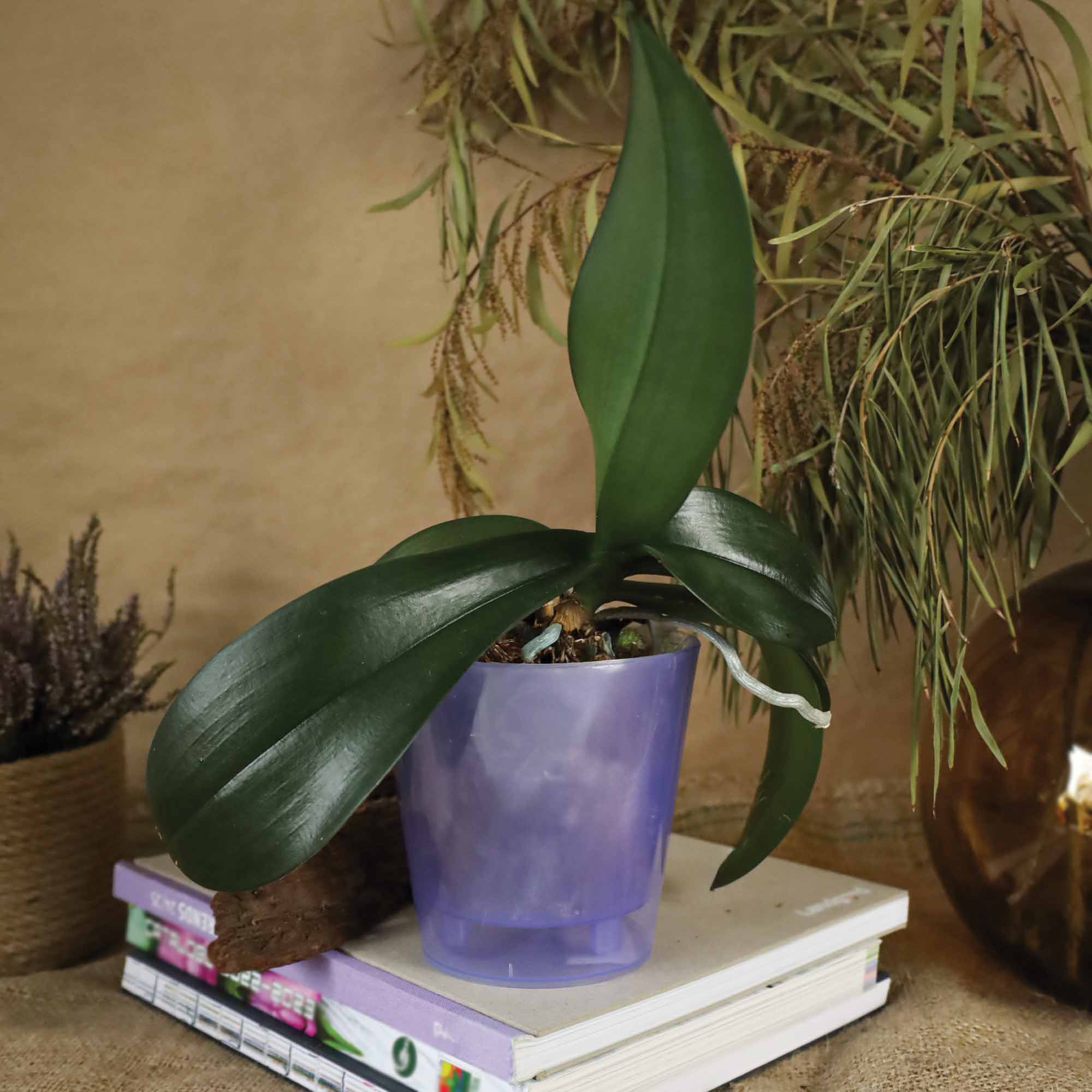 2c7f8fd7db27baf7307a9a8d4d649e80.jpg 5dd37fb8b204f68939665a4c2e8d3764