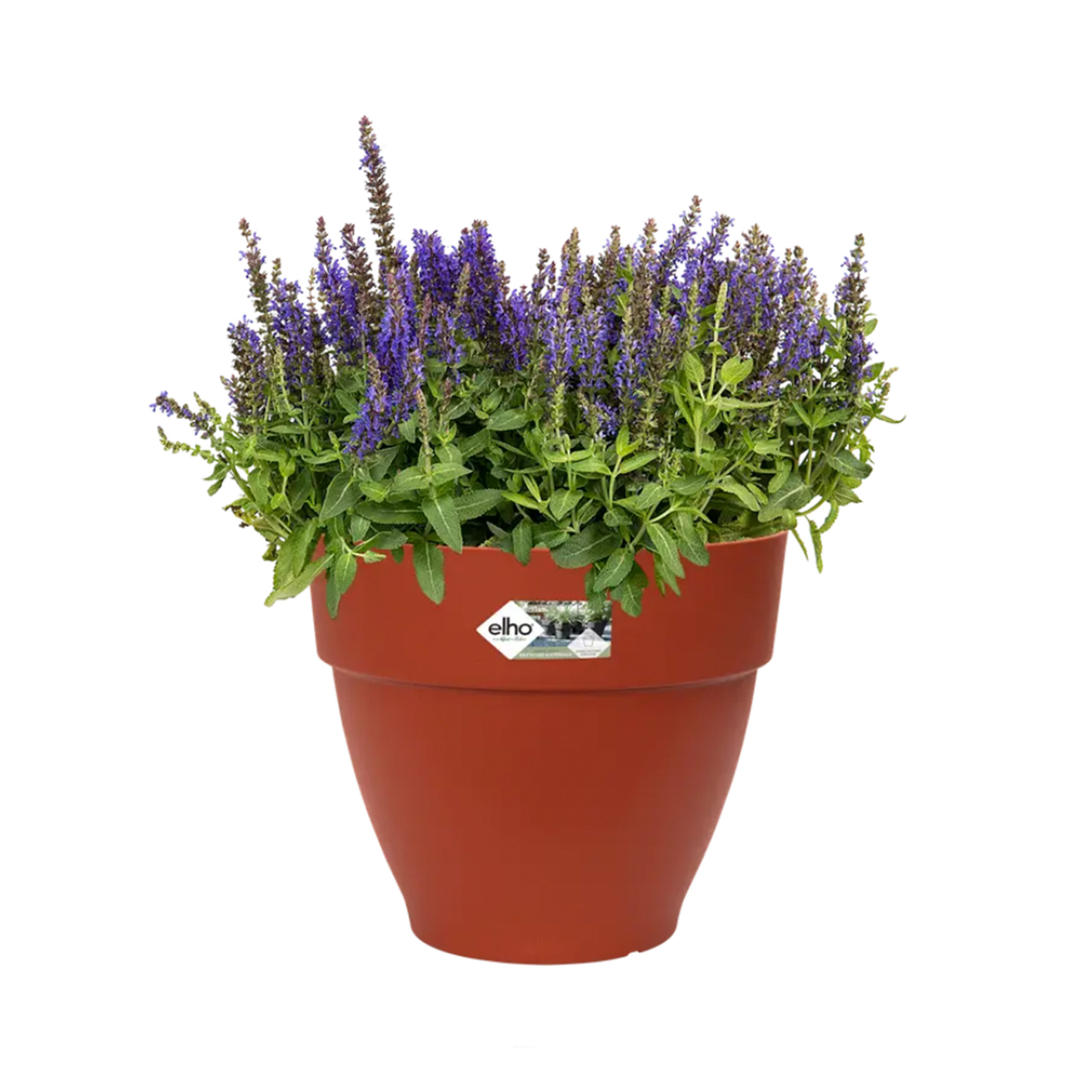 2f3d80be5b860e589a2154c7f480e7a5-7.jpg a8cd9f3689e7440c51edde300bc1f1d1