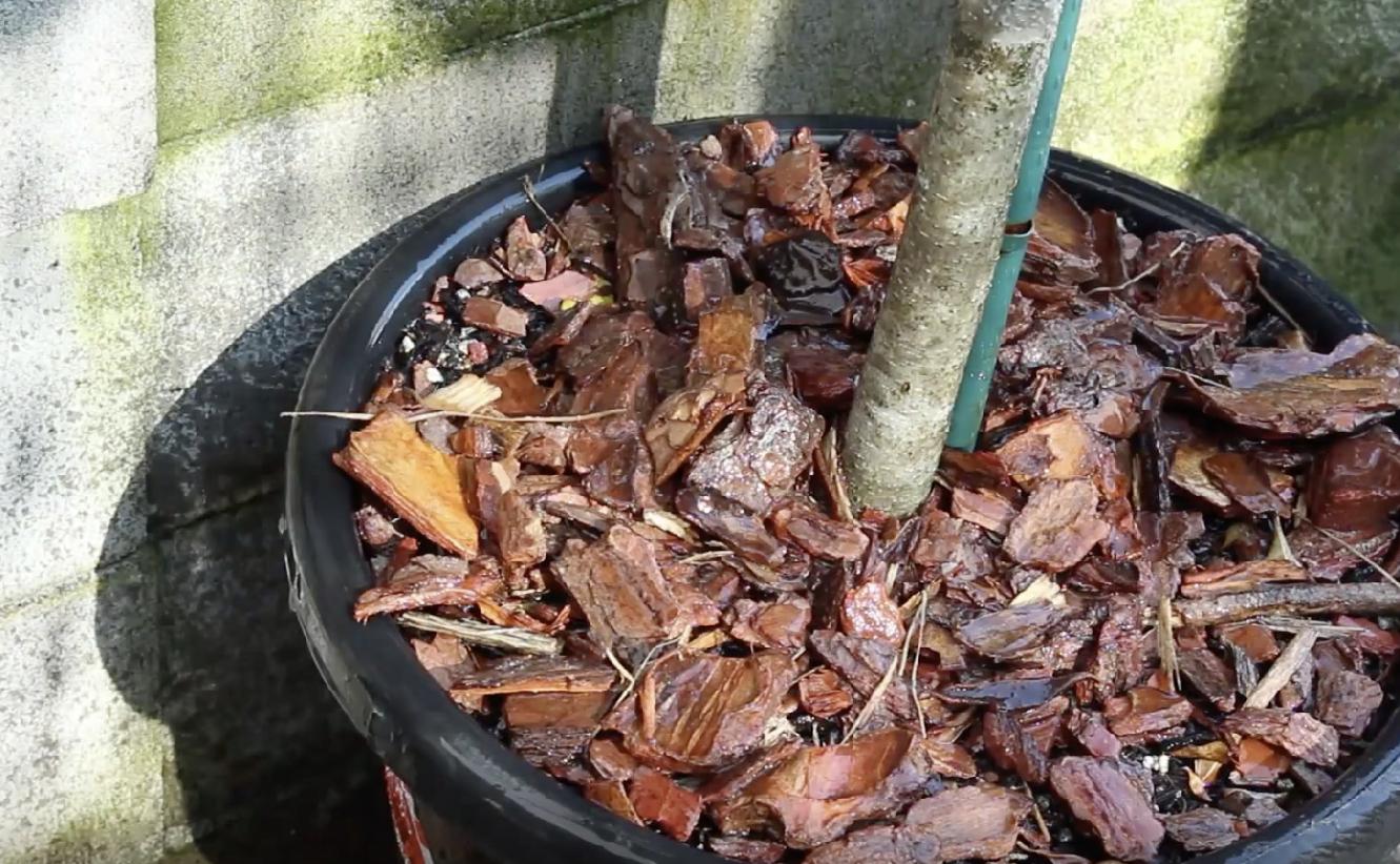 68fe0706d62c0119cfb79a05097f2630