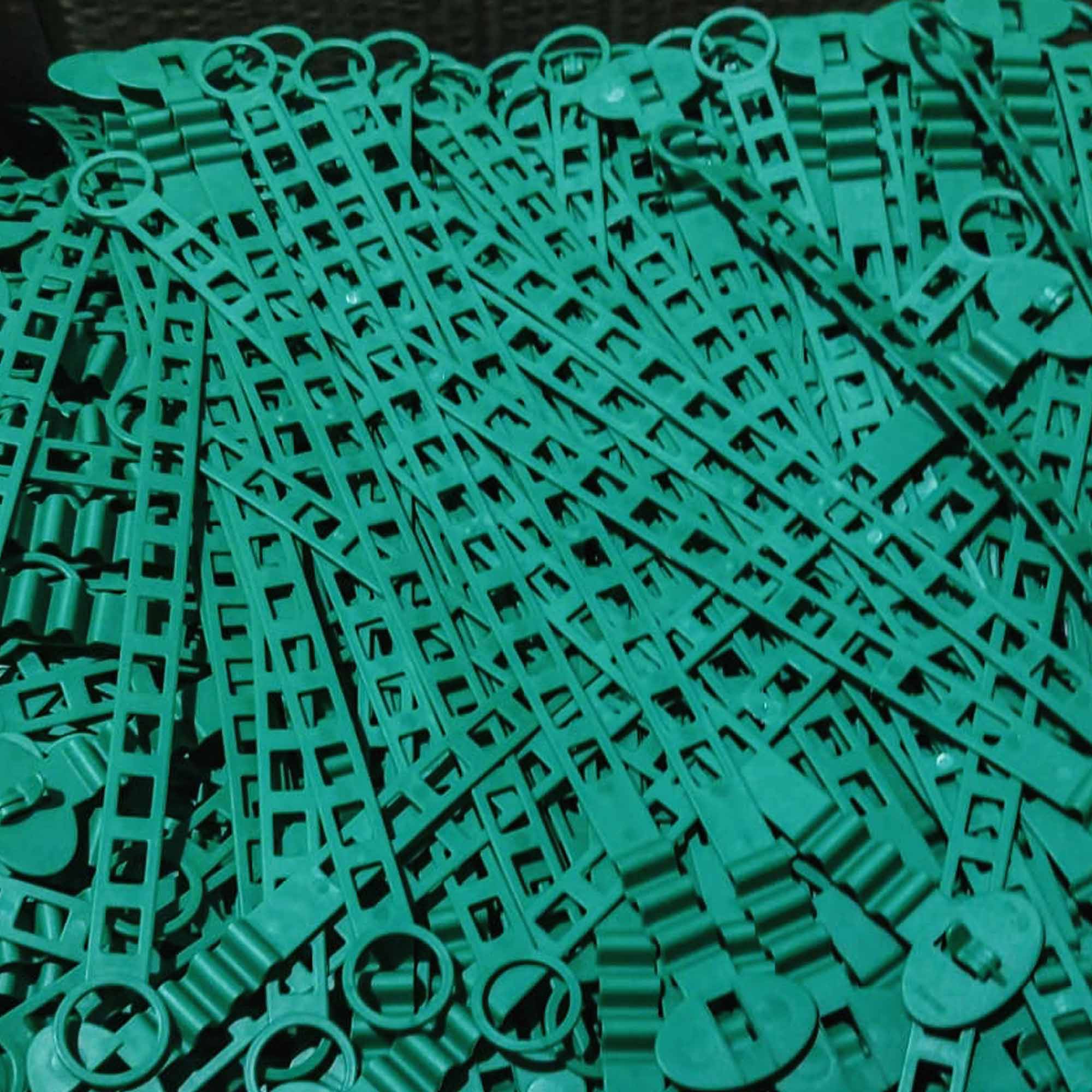 74ddec7ec2b02e91dfafd76b6f963c4a