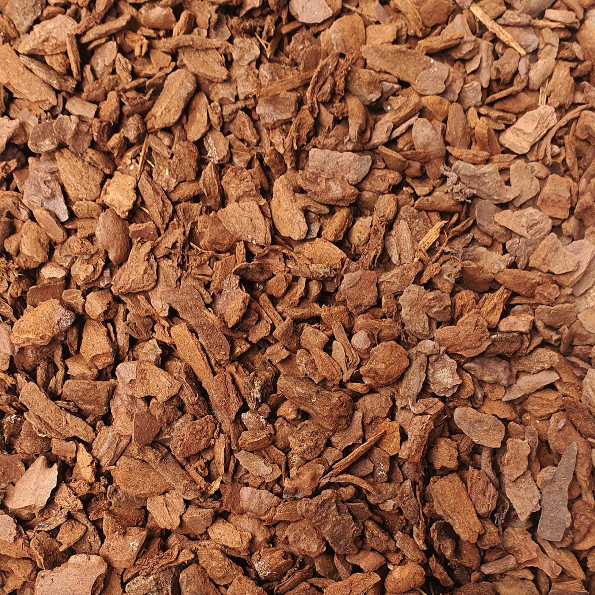 2becef18d4ee4827af44cec2c9c4a80b