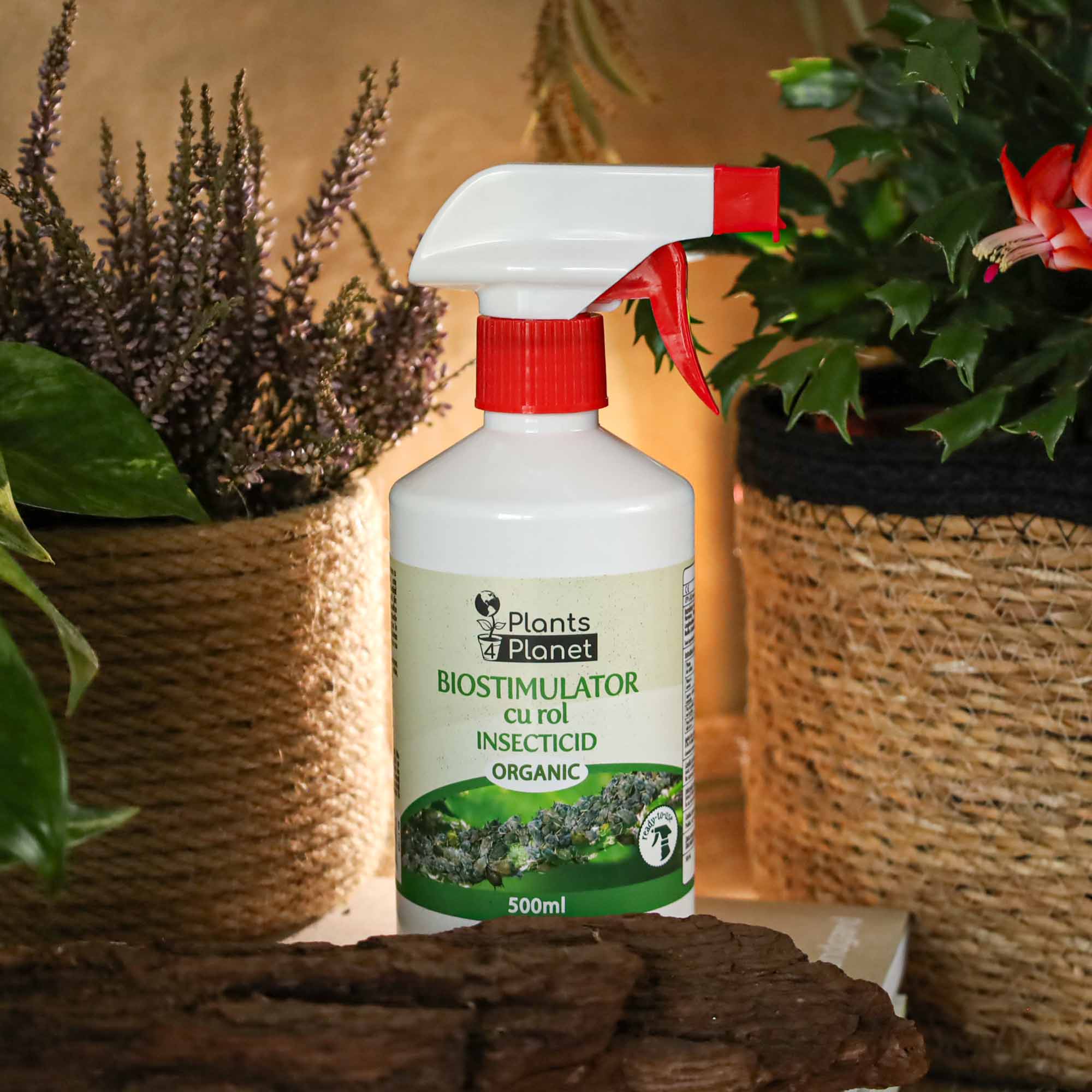 4260581684075_5.jpg 9090aad8d00a5822cc0ec4896bbb0c6a