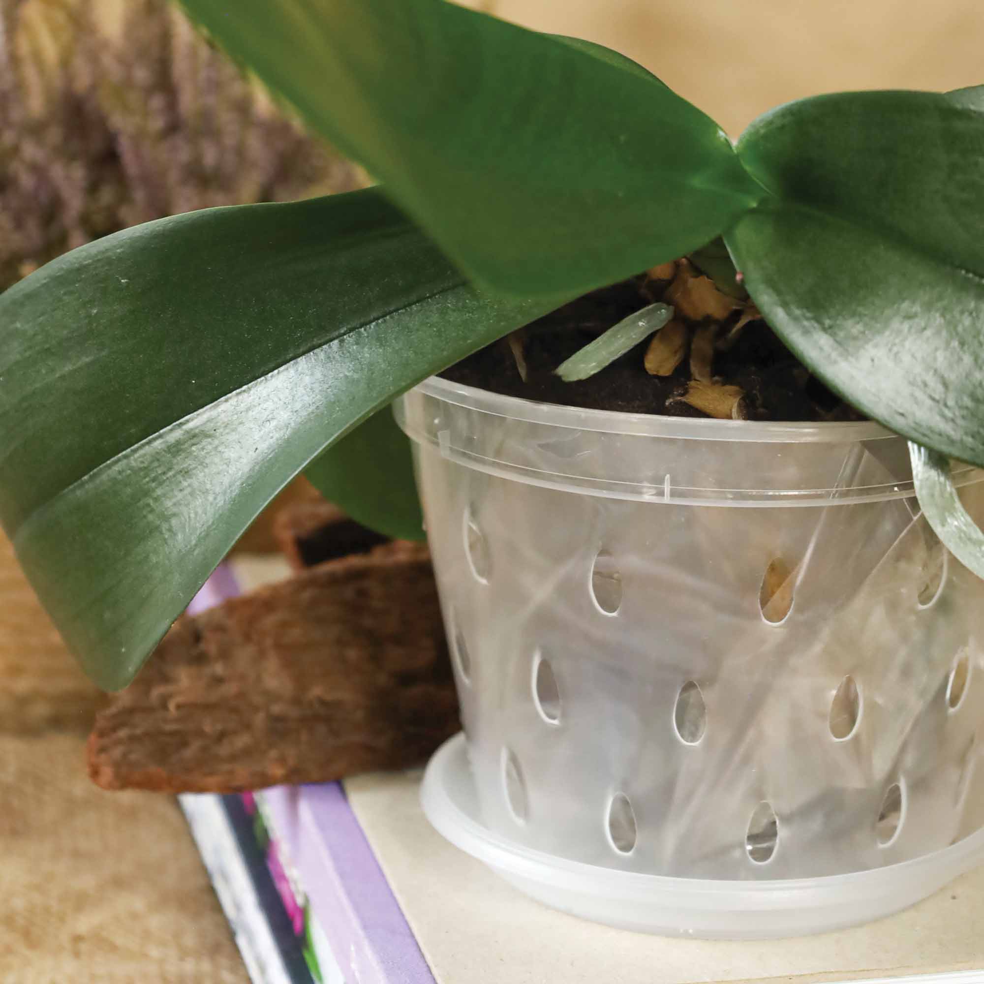 4823044307067_3.jpg b5eea05b569802b620074652fb798706