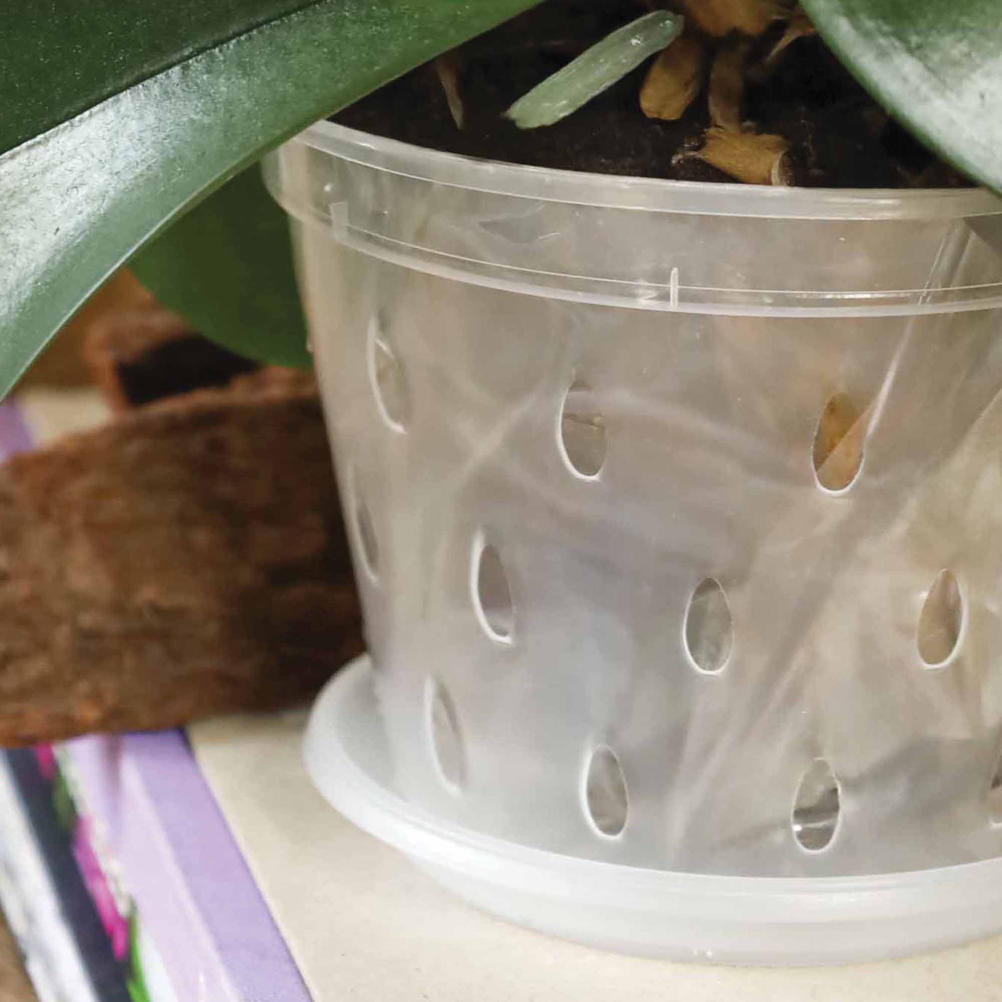 4823044307067_4.jpg 96073c37f4d57544bfbfe0279a19bbb7