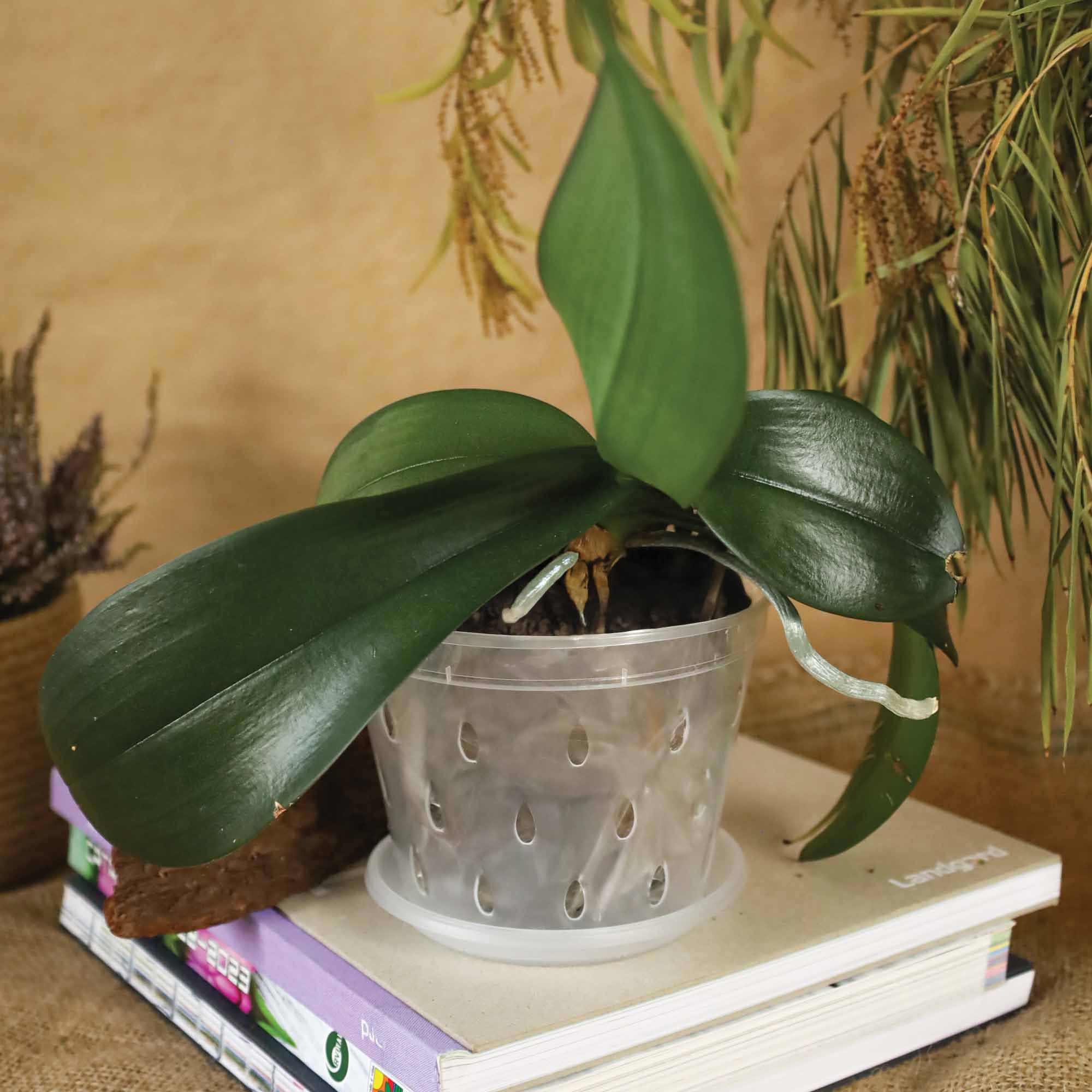 4823052316013_5.jpg 50b18d6edafd45749be4cd0856c97f74