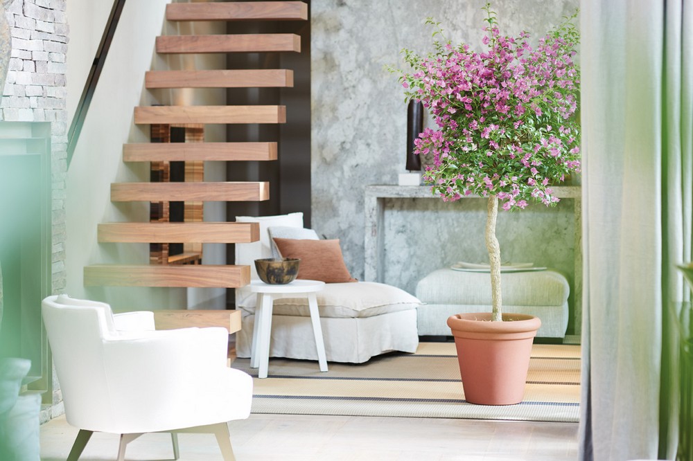 4da9db2c6ce1c36ab3b352f94c588acb.jpg 0fb56b42a7db67da97af5b7bbdab3f99