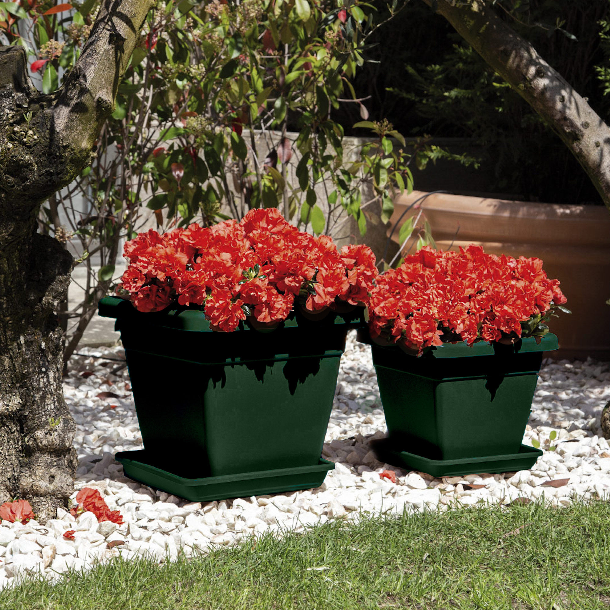 bebbc42fe86f50442261e1727659b5fa