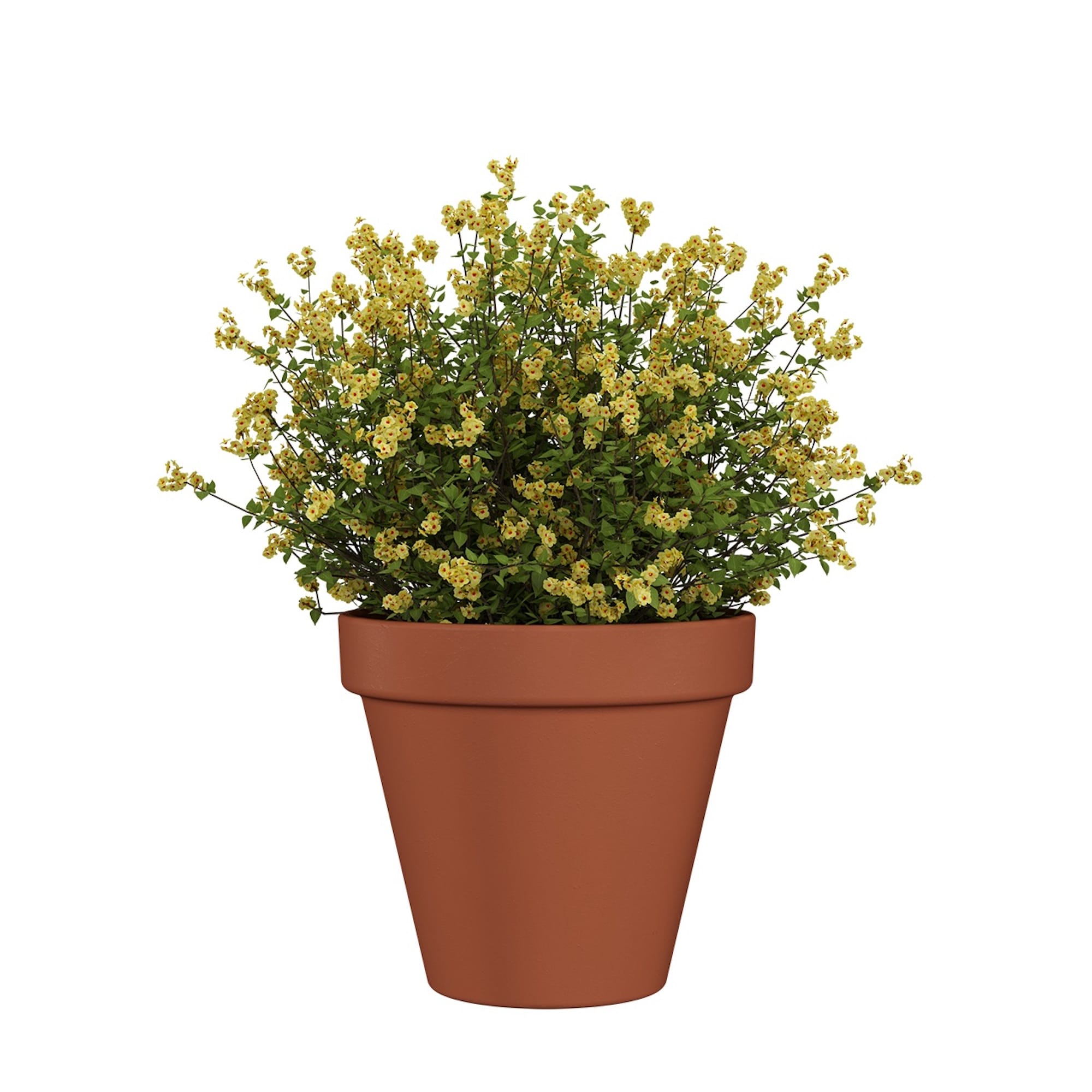 5600837330421_2-1.jpg fbd7cf63f0aaa2893db942b4f1b17841