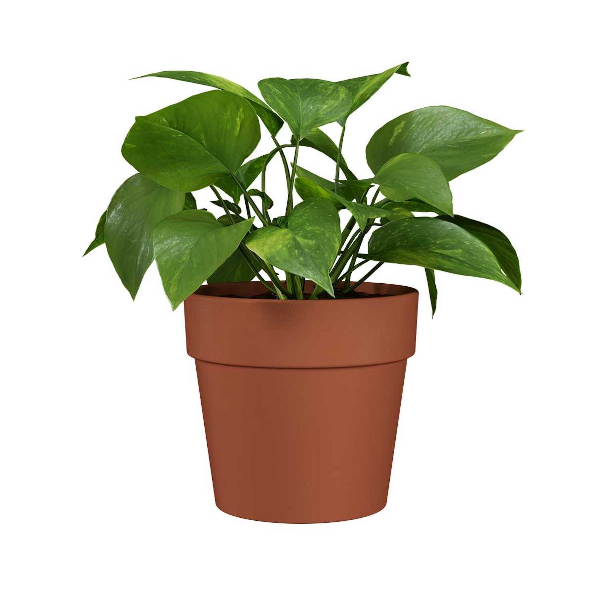 5600837330759_2.jpg 956772806b38459191bd03569a63c4ce