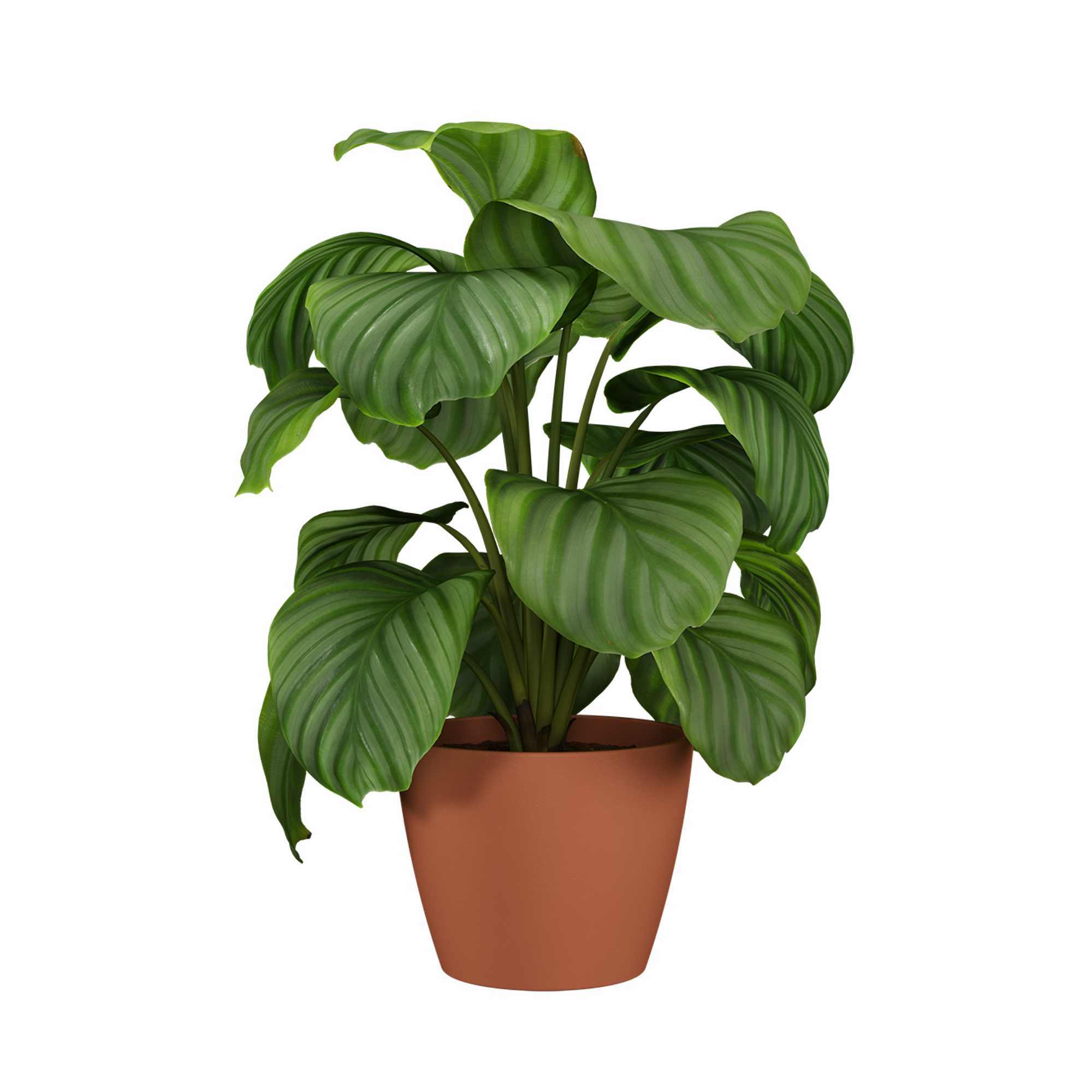 5600837332647_3-1.jpg 67abef5971d2ce8702a228cf88e5cb74