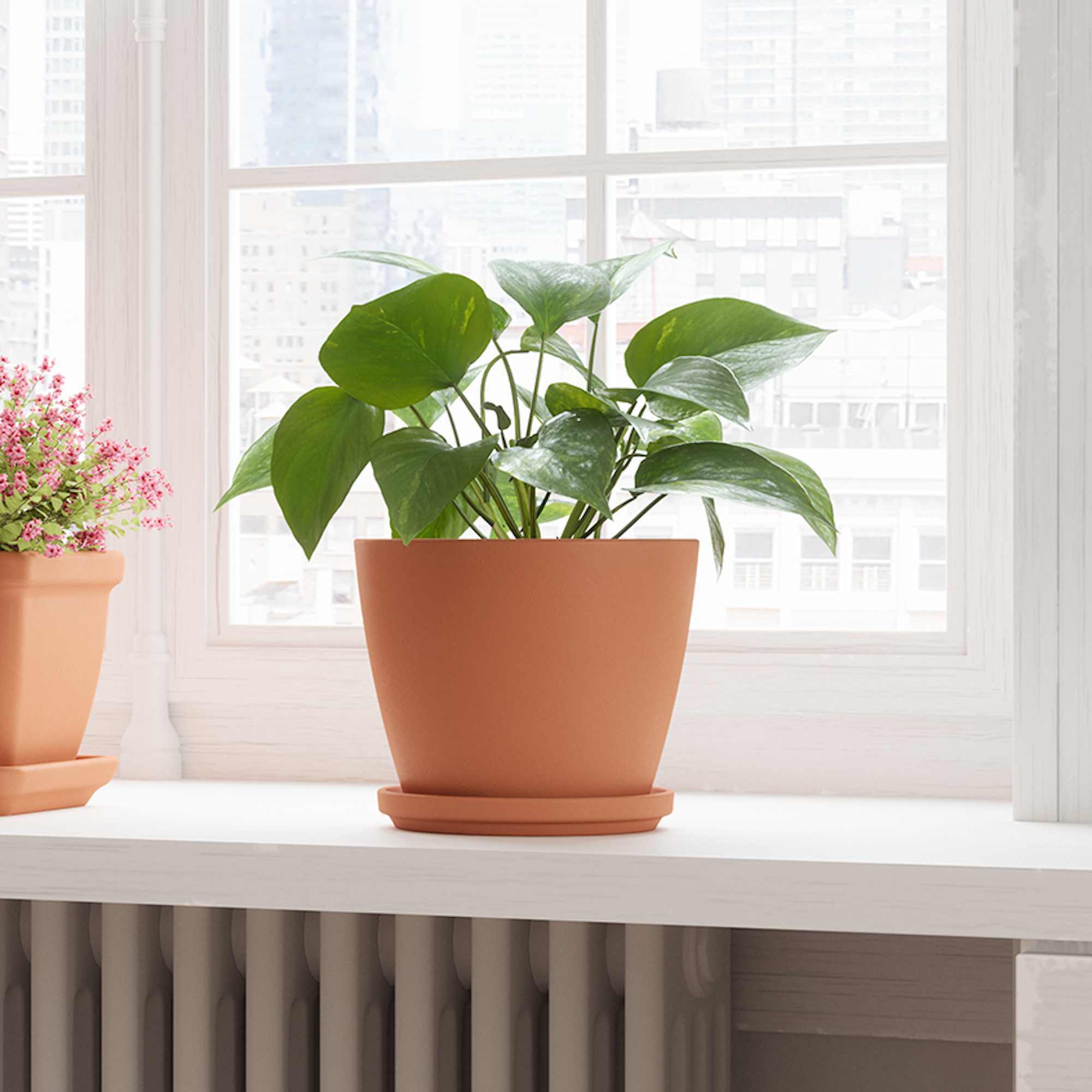 5600837332647_4-1.jpg 0c236bc6b37ea20d1c3d34a95fd51fab