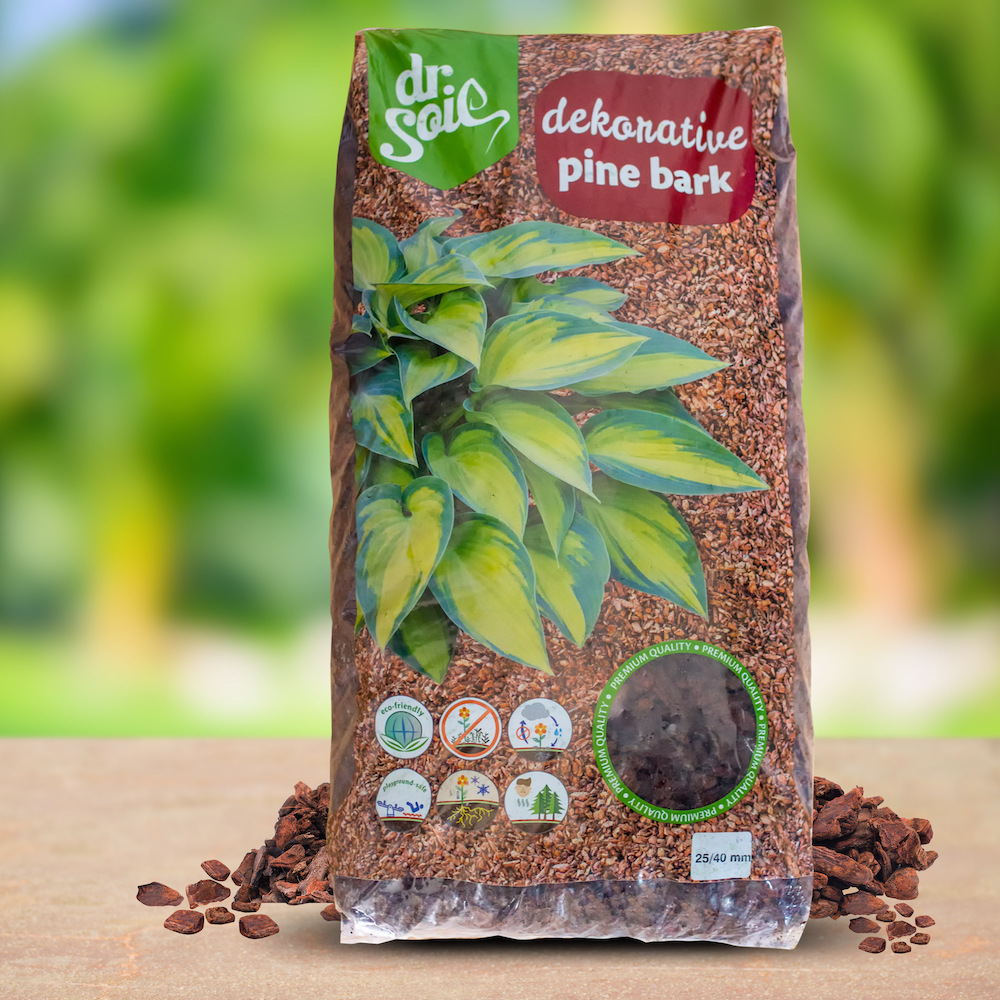 Stone board empty table in front of blurred background. Perspective brown stone over blur trees in forest - can be used for display or montage your mock up products. vintage filtered image. 7fc44d57fe9f4e8c404534341298d36a