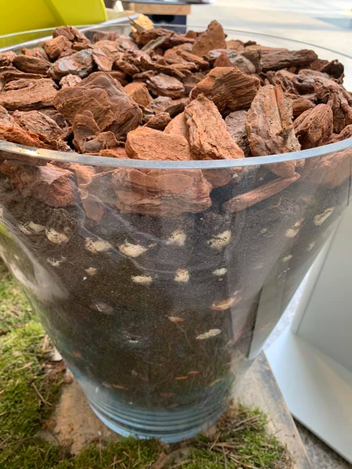 c0ec6eb175214803e35b02b65c363e5c