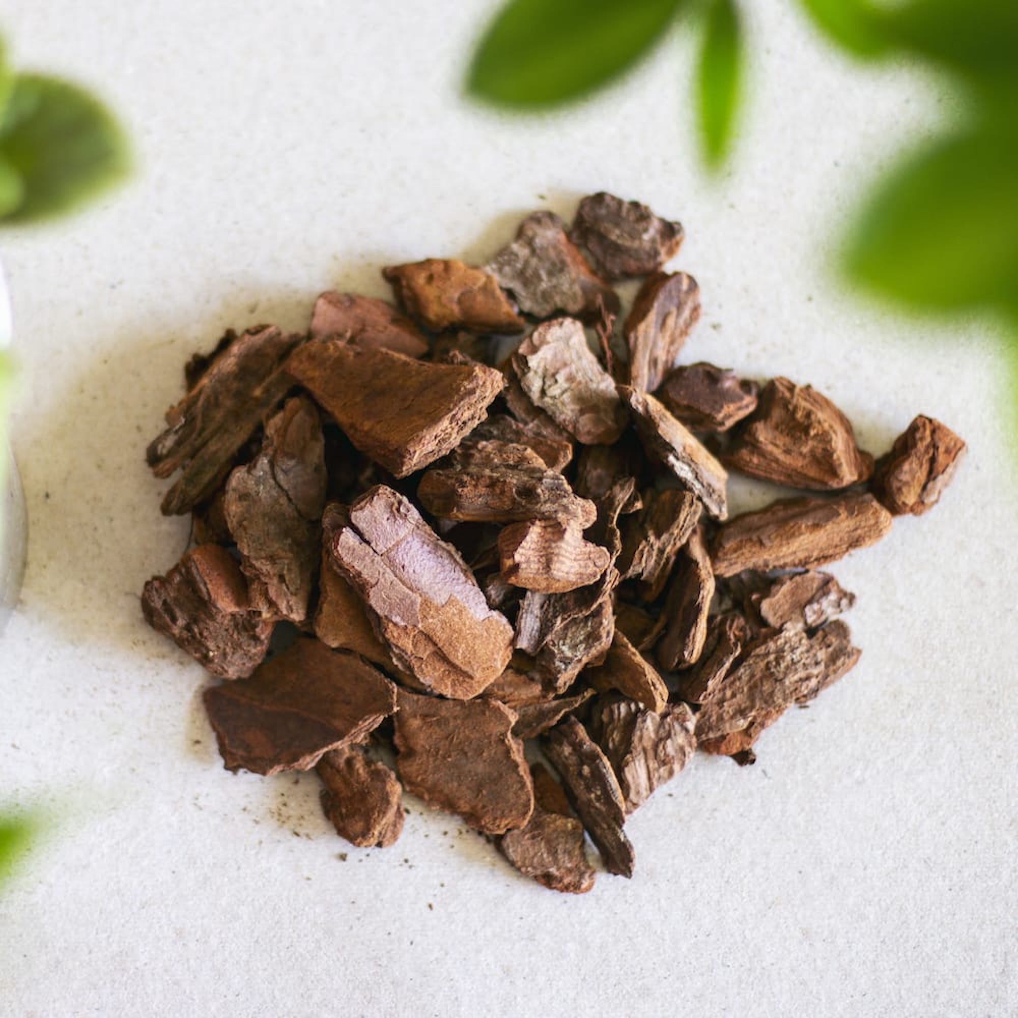 005593048baa1258ca7be033ac15a2c3