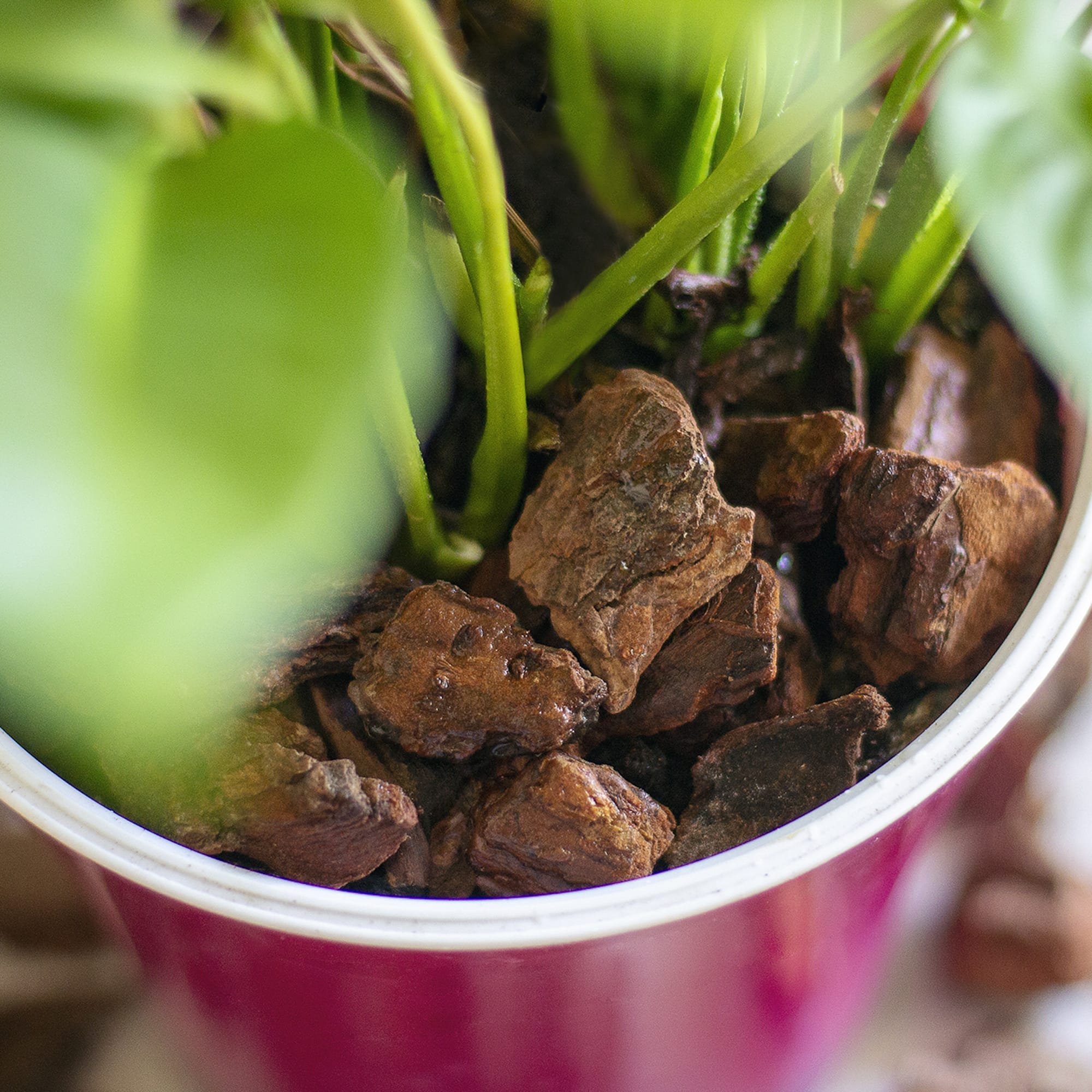 511efc0001e8a5e3cf1e157d7f94acdd