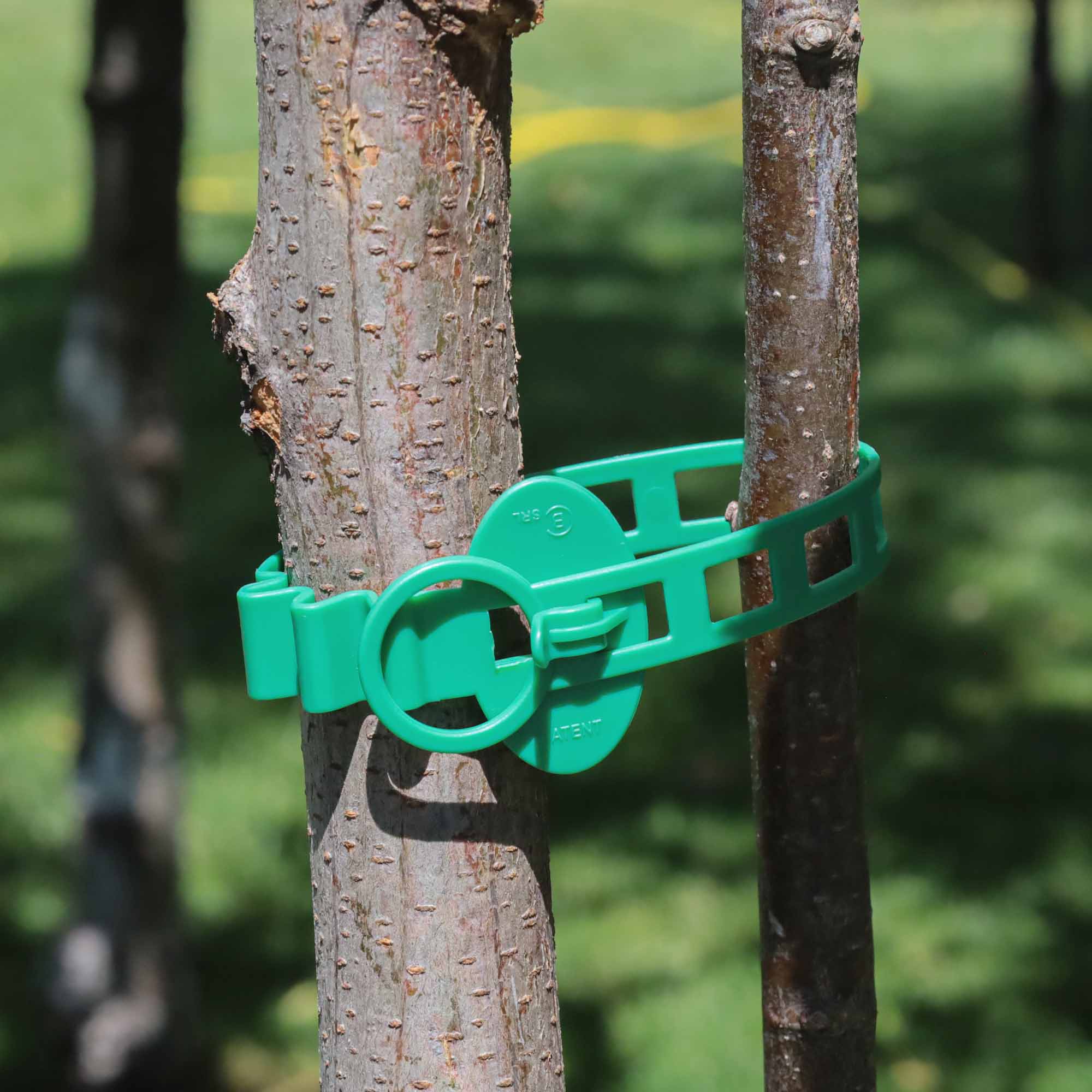 5bc438dce83d1deab8db0afcd0060689.jpg b42aa3a56aebe7fdf83a9ec85a4be97d