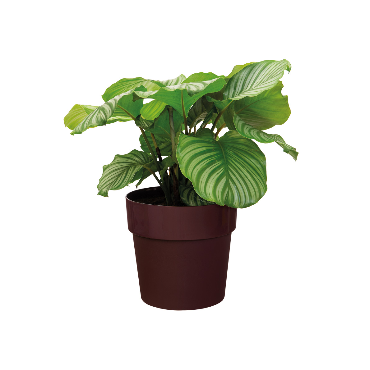 61304163a229686cc0dcfa907adc3877.jpg 153215bf2138f06aa74183d56ff1ffbd