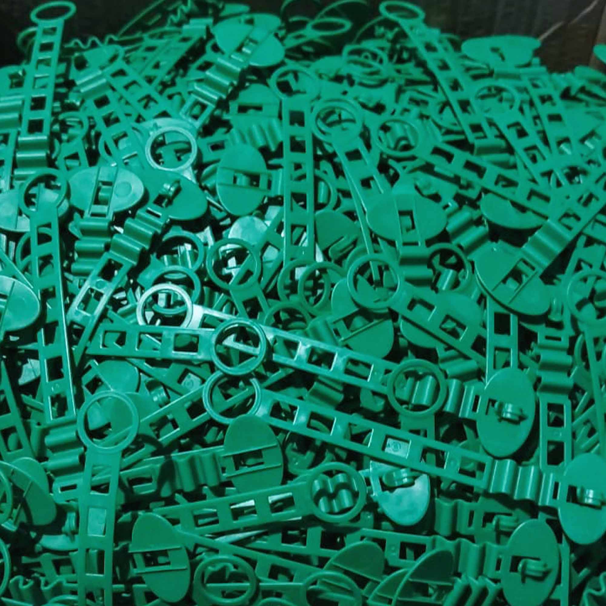 f614bd9c2ef0b2bede3c06c1d0154adc