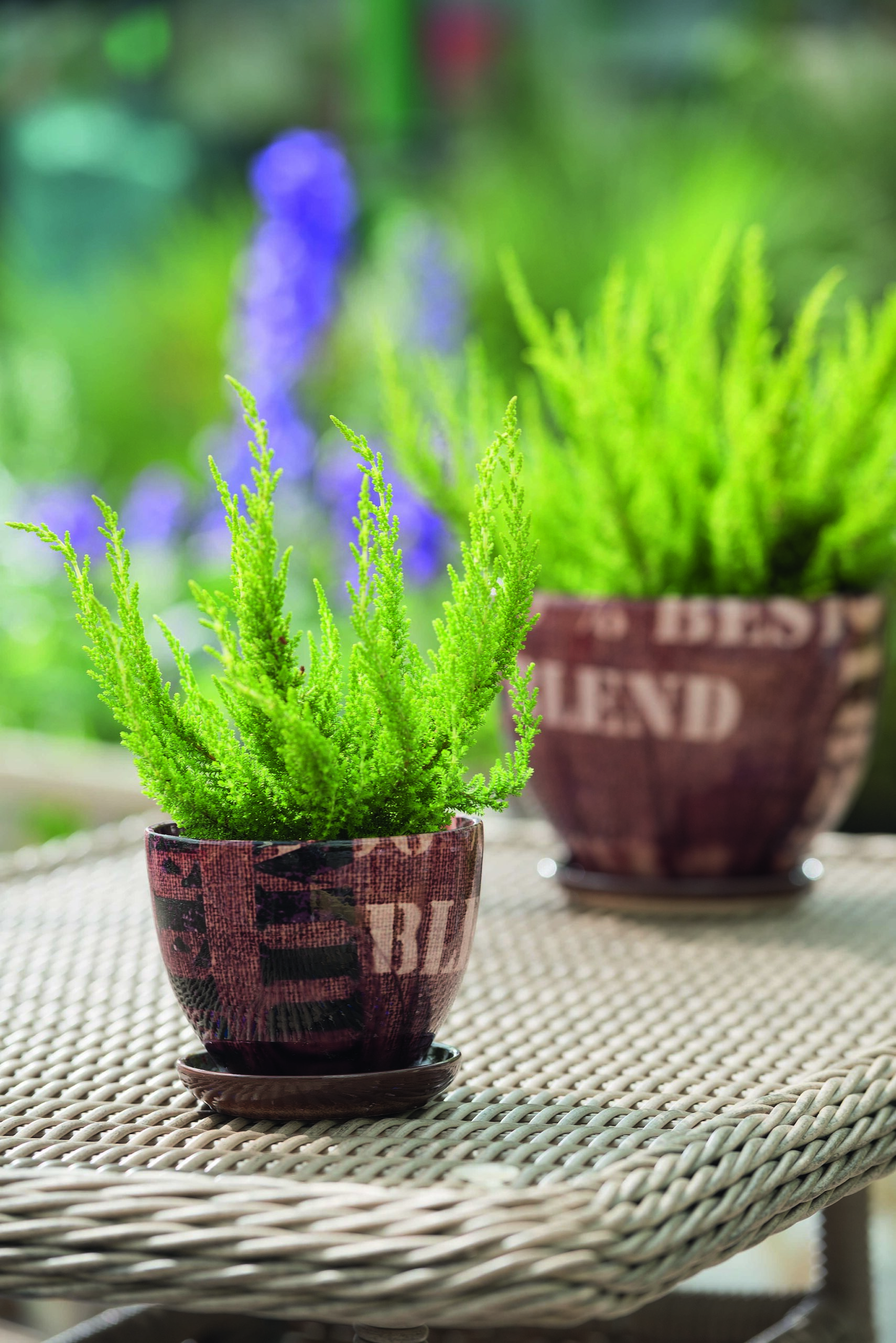 6f7c86b2f7611b7a77c518ff069700aa.jpg 33f3814f06c53e70c8d2ac194bf08f15