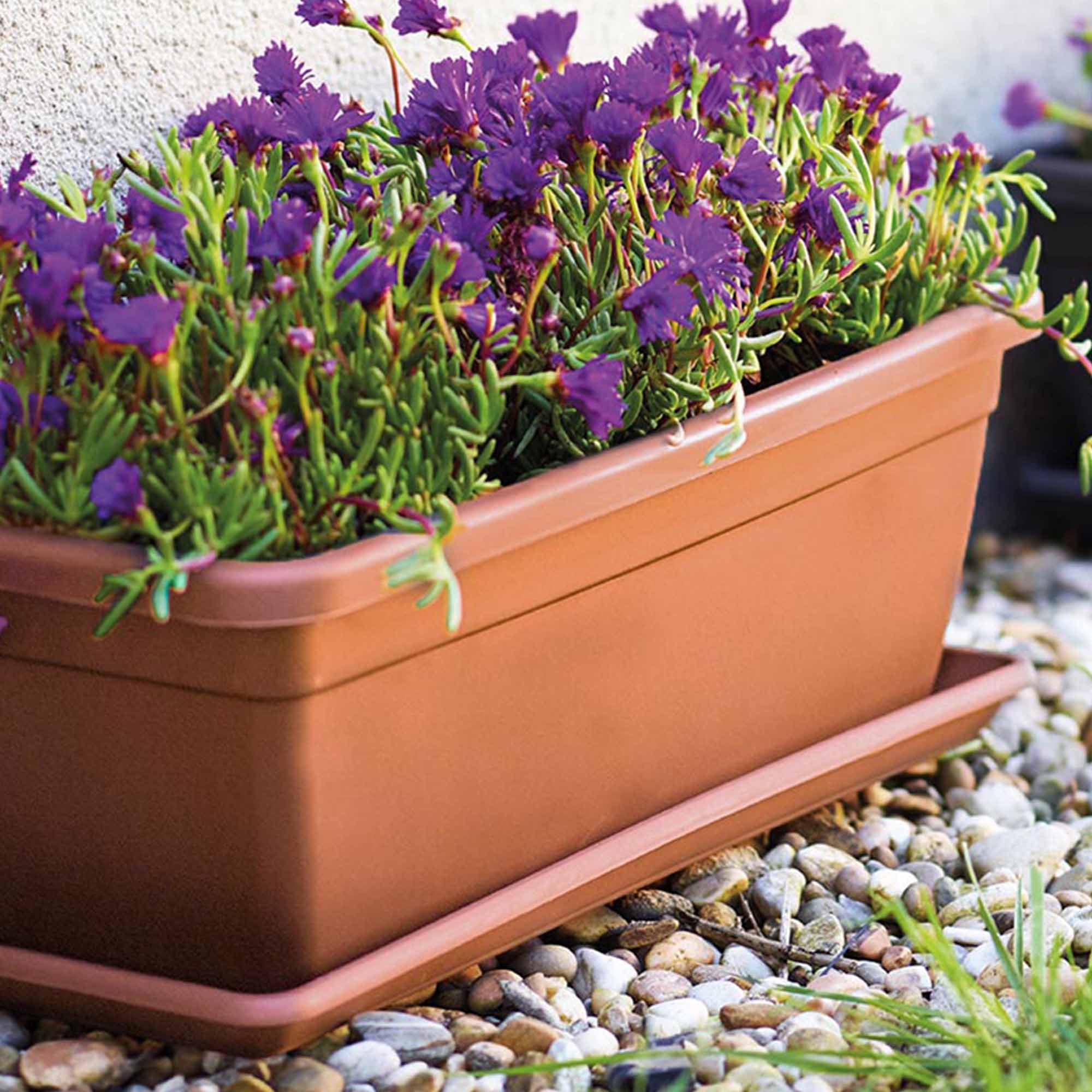 7808bf1458272957870bed49c3d536d8.jpg 94314eb1e4a702e85b3f638d60e372a1