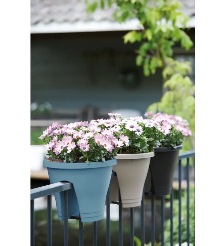 4116d6c9c169a301954996a53730075c