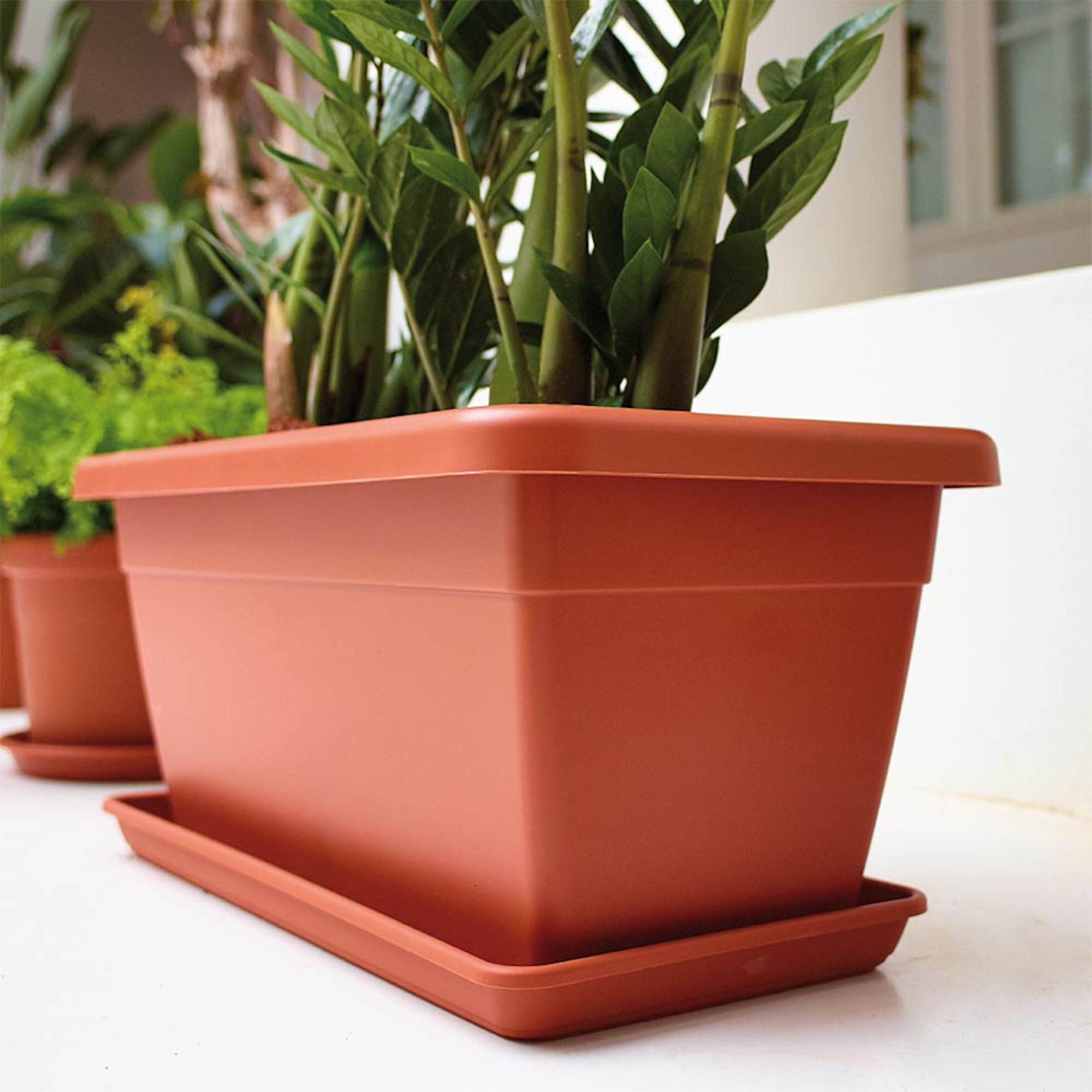 7c612541545fca15a50a3479b6b09544.jpg 927a8c0d58323fad1d9edb6eec073b55