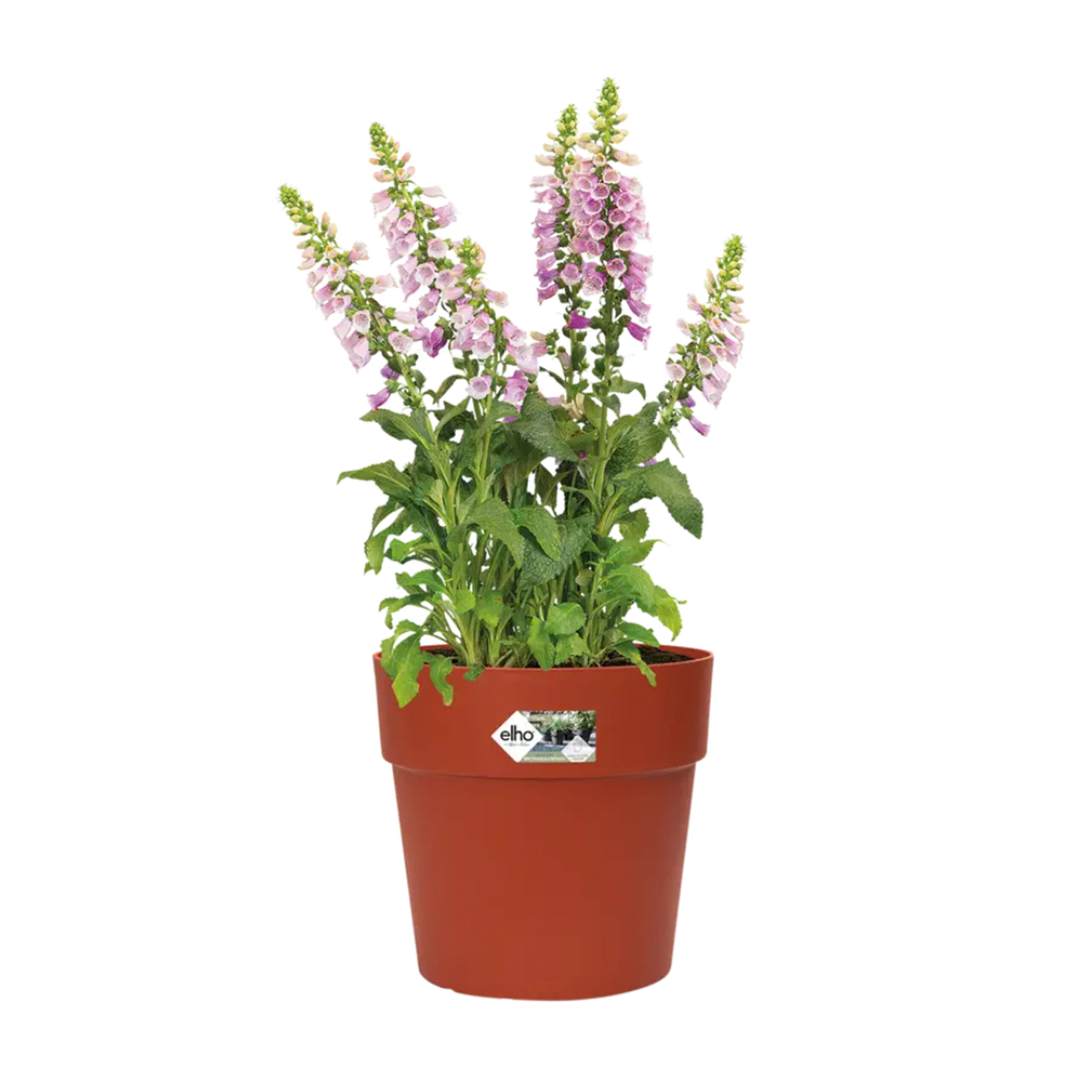 80fa05da6ee3d6e0ddef0e9df83910f7.jpg 34efff478b5bfd39cf0beccbb2283e88