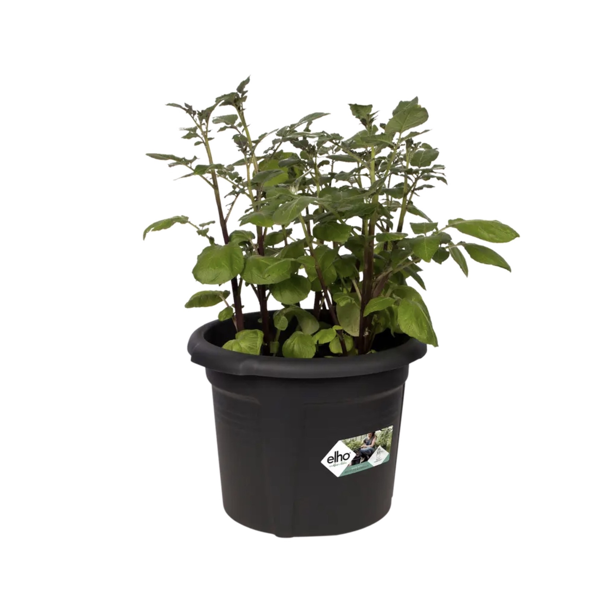 3c0d8ee9792c671f64cc165139150f6d