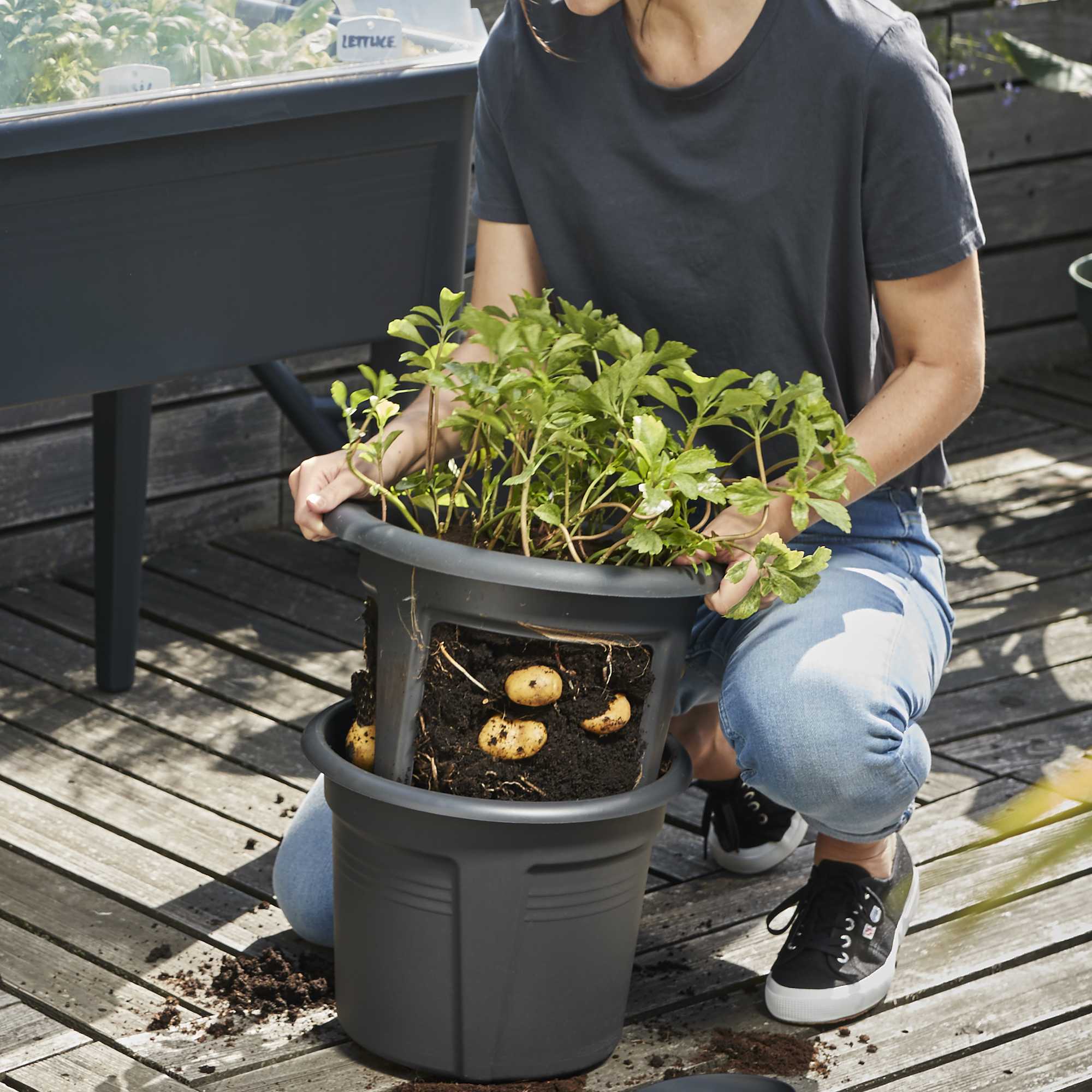 46906ab89d2bbce718ddee508827894f