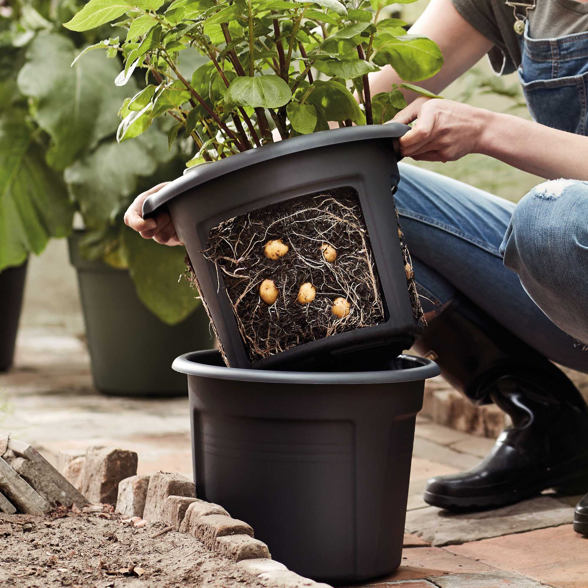 12a908b20b59cd3e4ba313e1093a9923