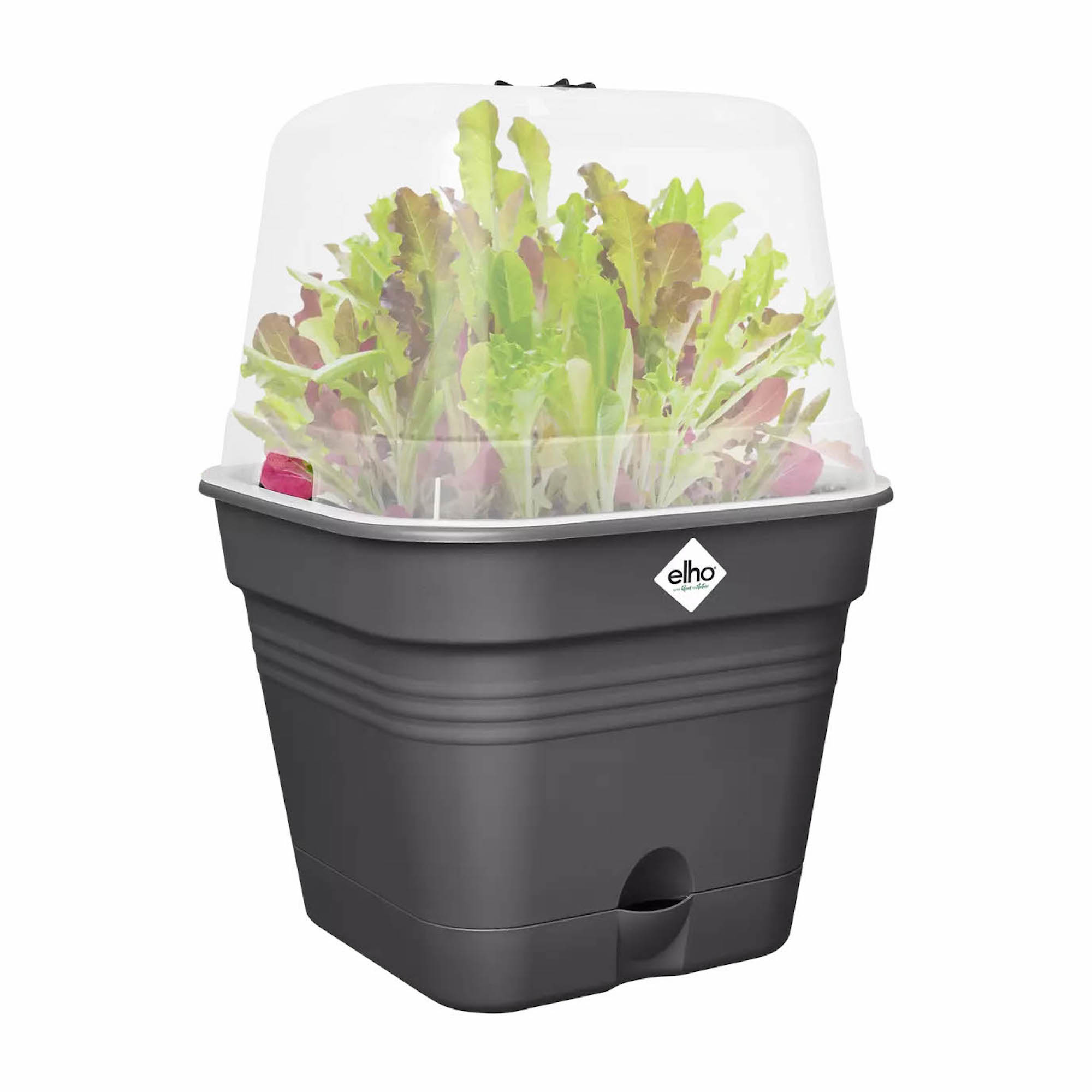 8711904515454_1.jpg e75f3537e7dc79db2f839a091df762bf