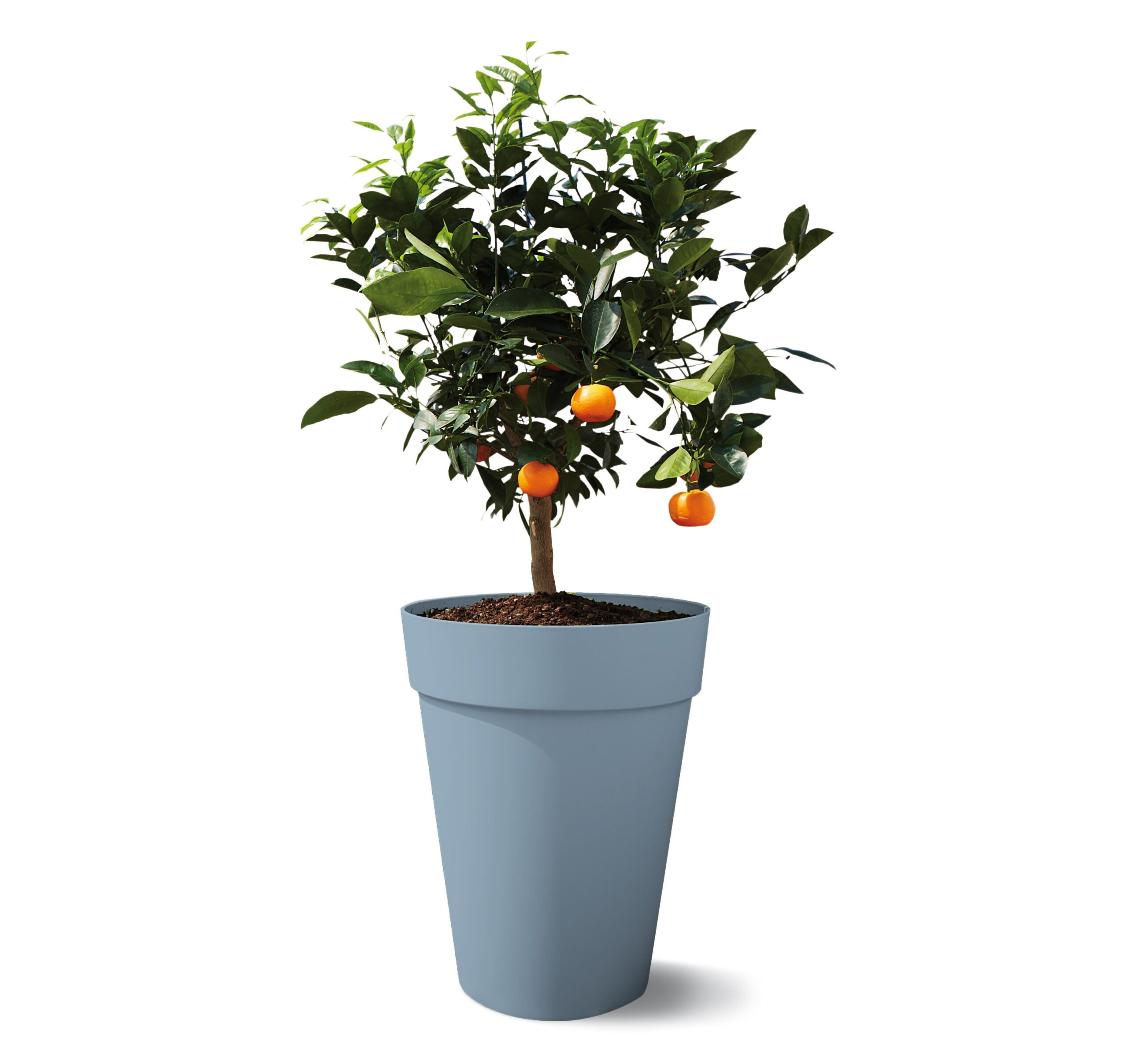 4e0deebe93c607a665cd80709570ca9c