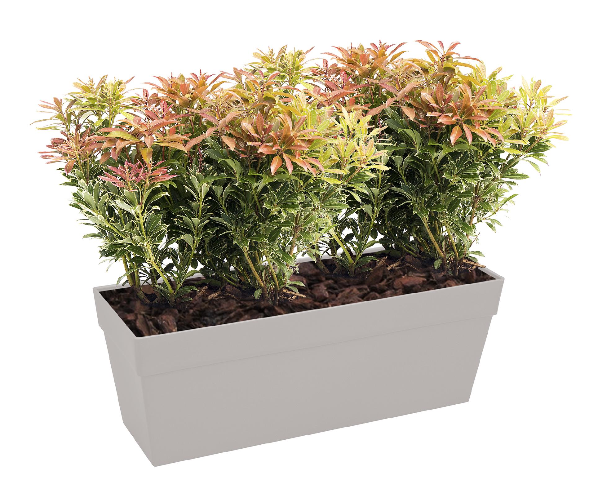 9220ce0cfe1197a1f993f85df64c74c7.jpg fb72dd4e8e75c226ead949a7ddd99b46