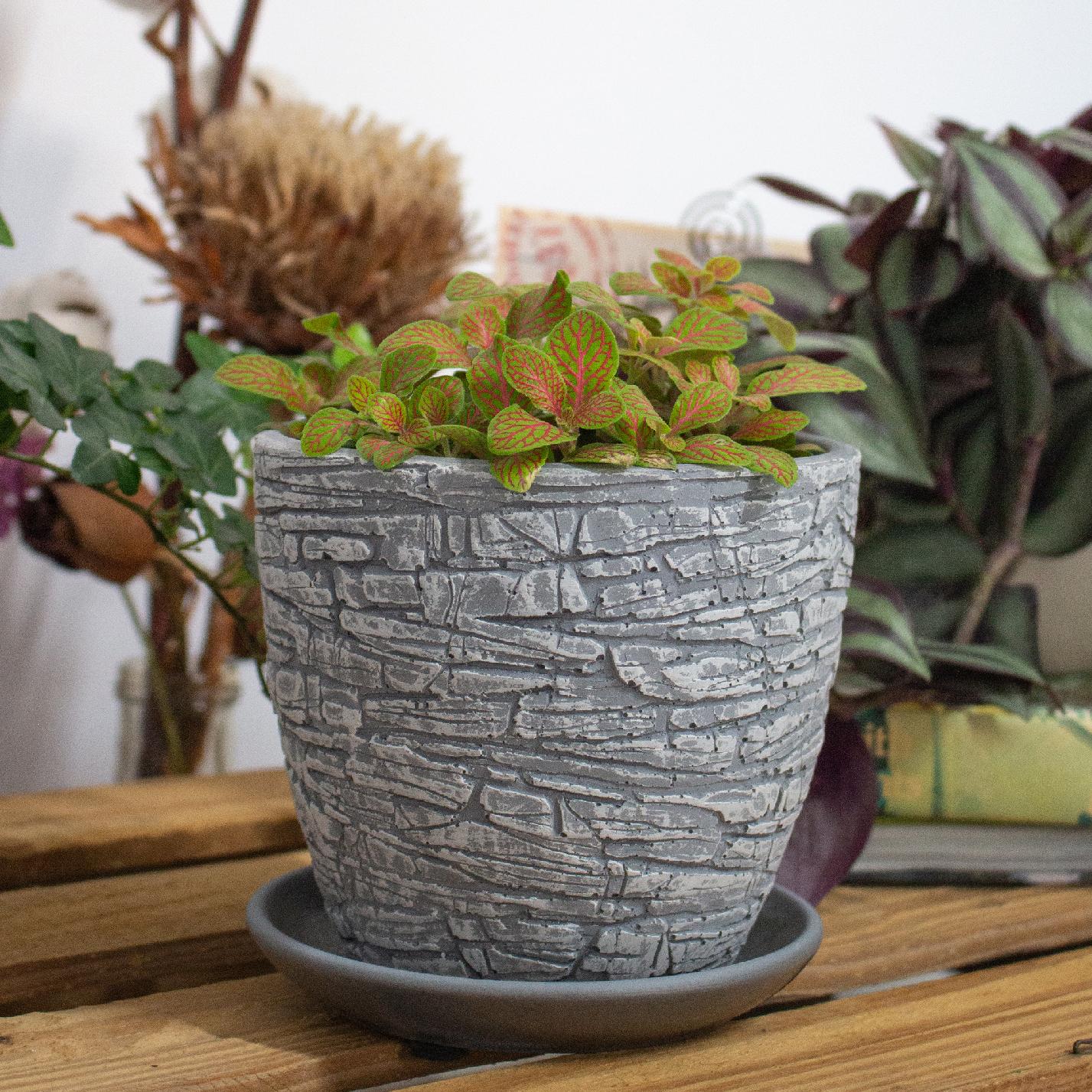 96cc42252541ed85dcdaff051b93cf44.jpg c88f17d55ec8b678f646087aa3d017f0