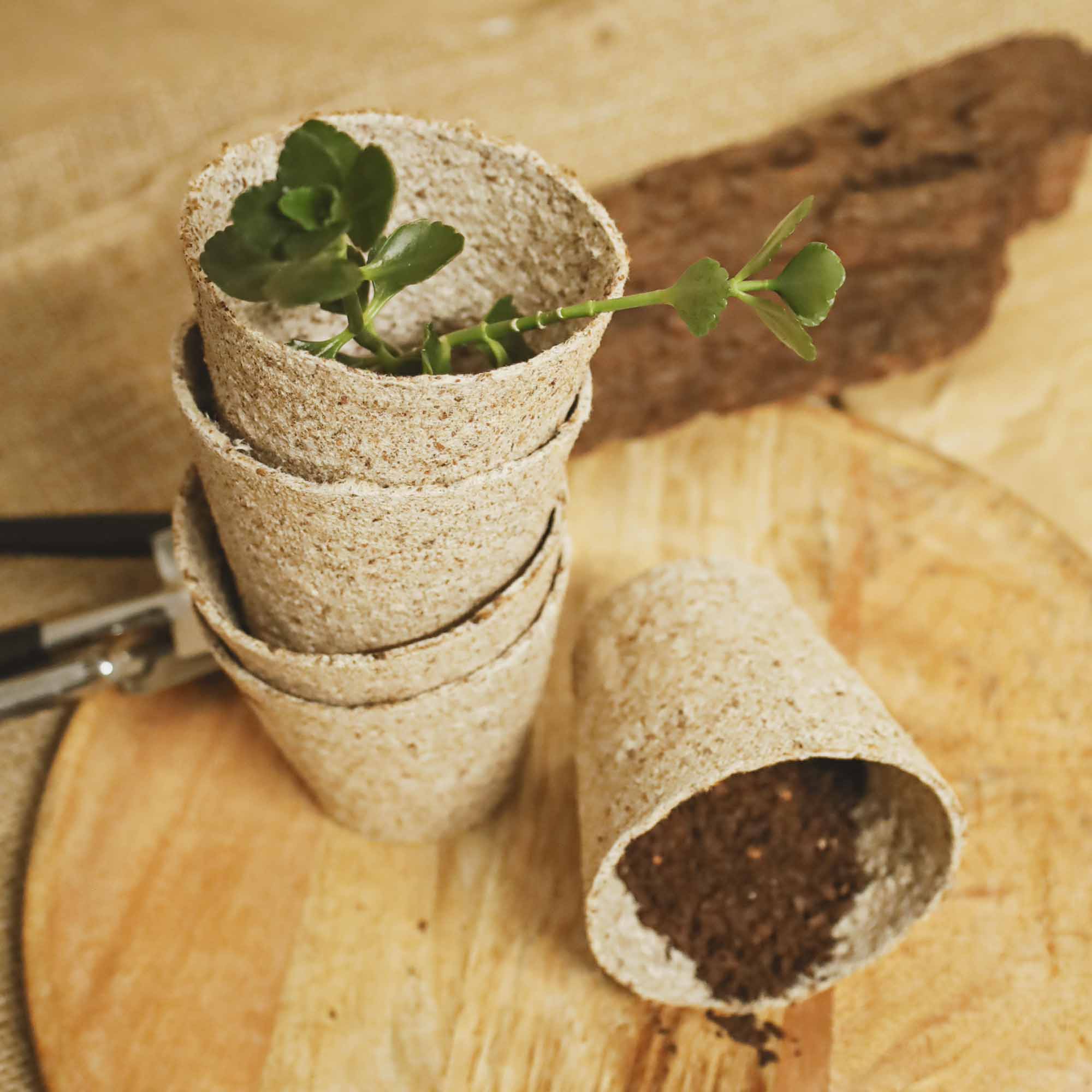 941b6f78988760667eecd71ce5db8f26