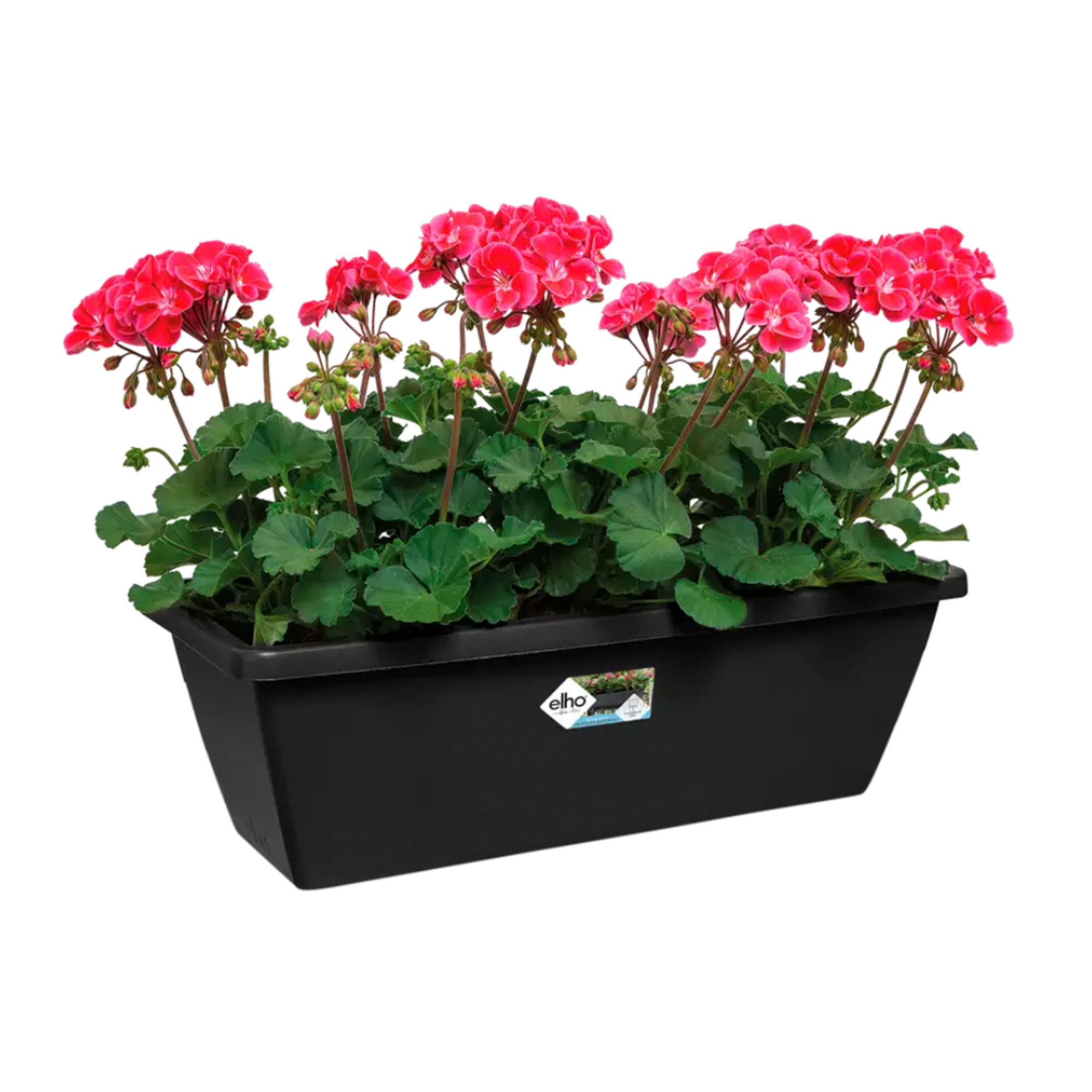 9c4fde9001b5b2a824b3734bf7422bab.jpg 6b00ce84f34f4363f00d82cb8f1d038a