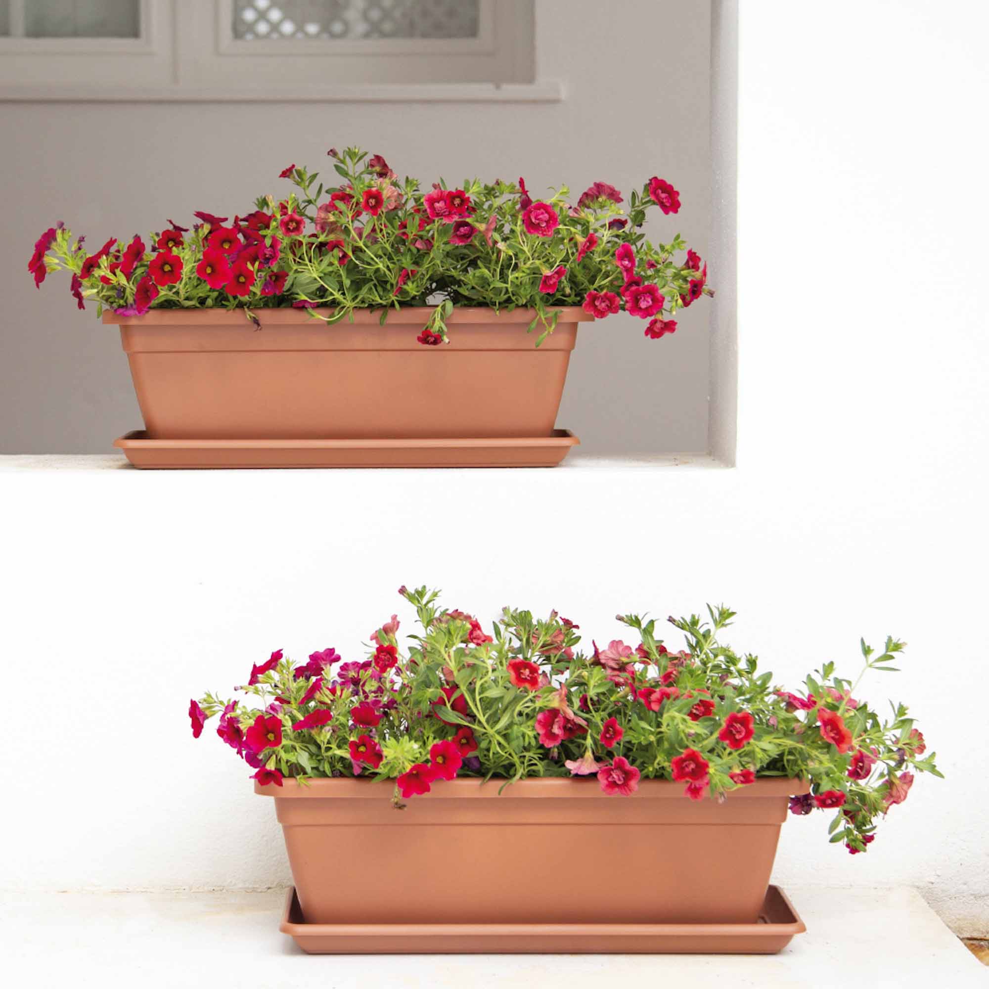 b1b062f5a1dbe1d84c6cb053b058eb86.jpg 204a9002b6dd3115cb00f34ec3a38d09