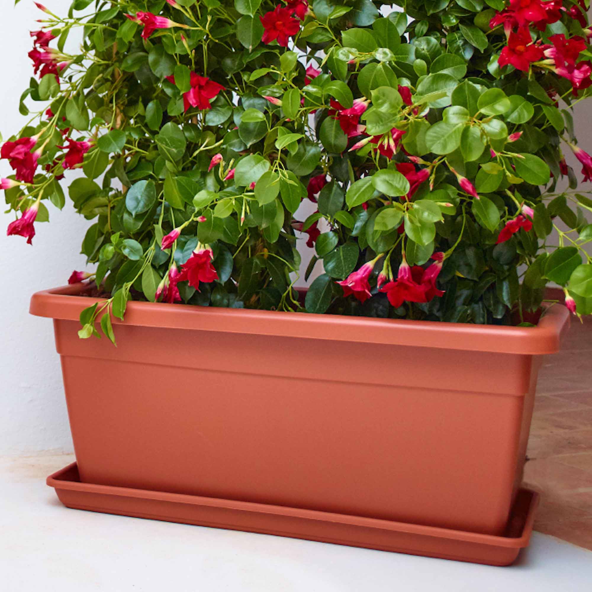 c4e74df3e167415901d3dce963854c86.jpg 73bb4b16ab1a24b89b2660dfc65cb79a