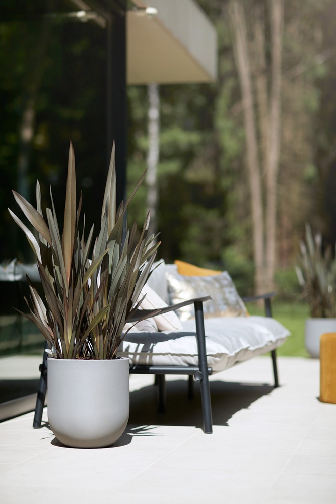 c54c19d7bbf32876e8663105b23453e8.jpg d695a8d2f3629c70266e8c6d3a5b983e