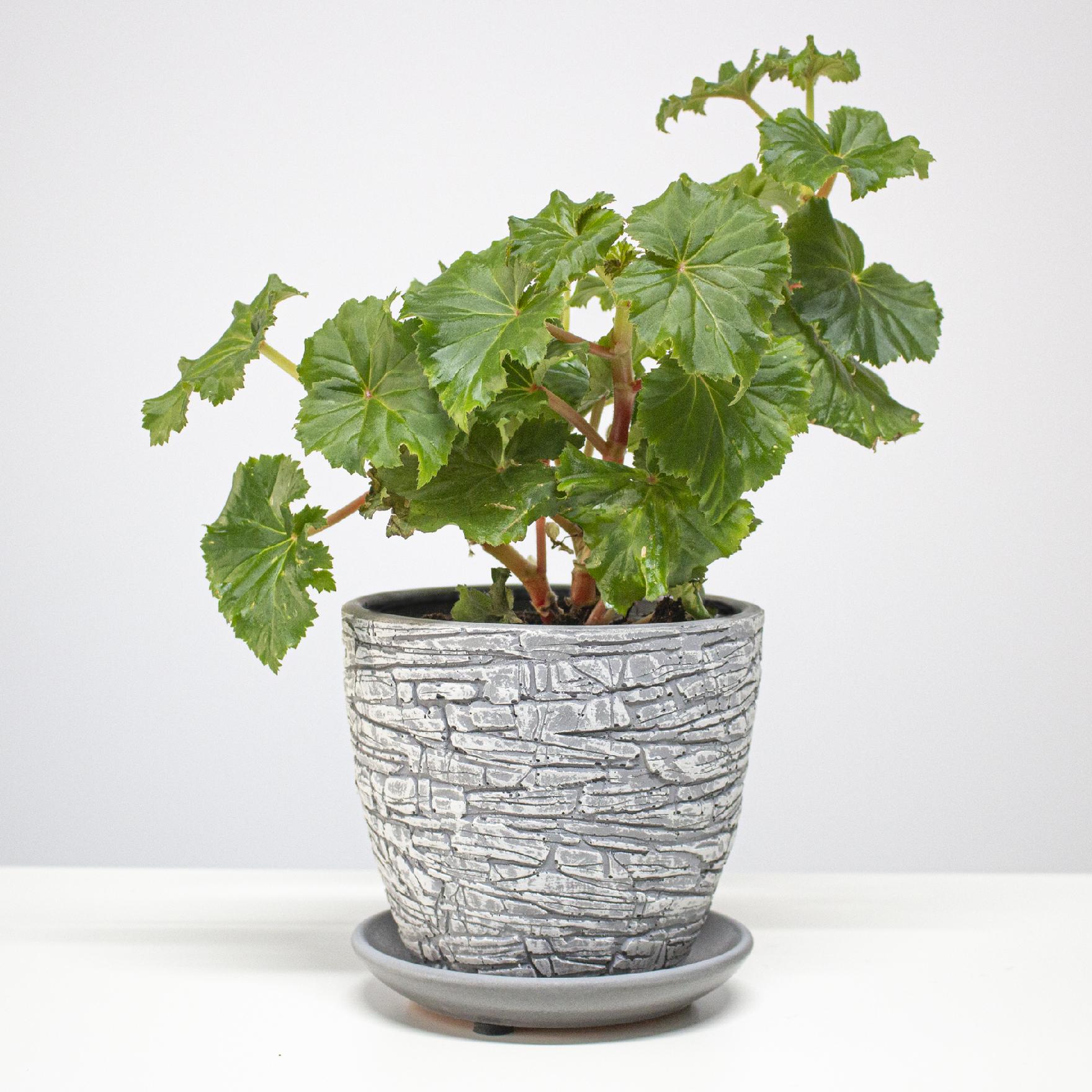 c6c1fdbff053e6adc404cbc688dbe1df.jpg ea1a7e27cb36f189132203464353a722