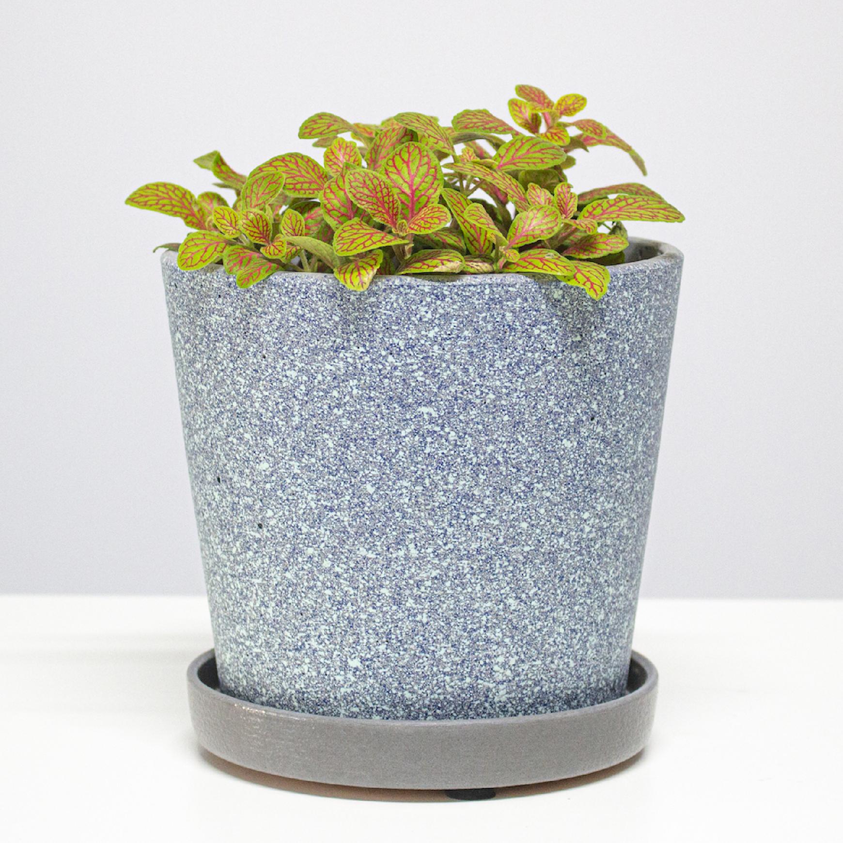 e68177250d899735cd5668019c8219e5.jpg 6a1889aa63ada74954860f7fe67ce008