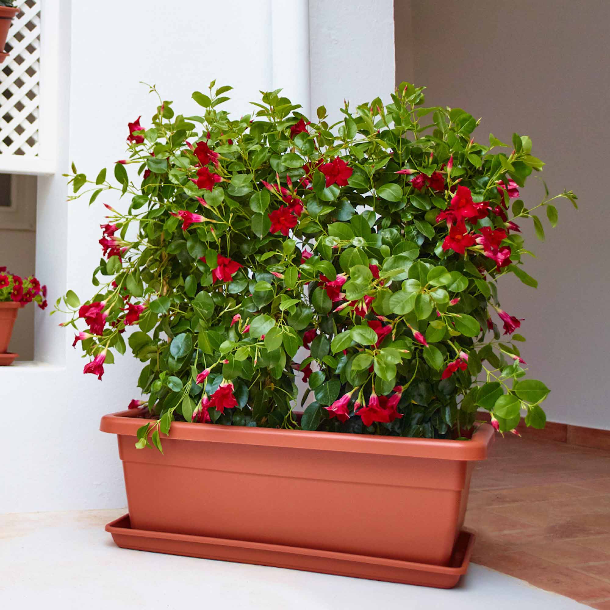 e9a28f94503b892b6e72e988628f5d90.jpg ed7b1e42cfb133134e467c9e3e0bfaec