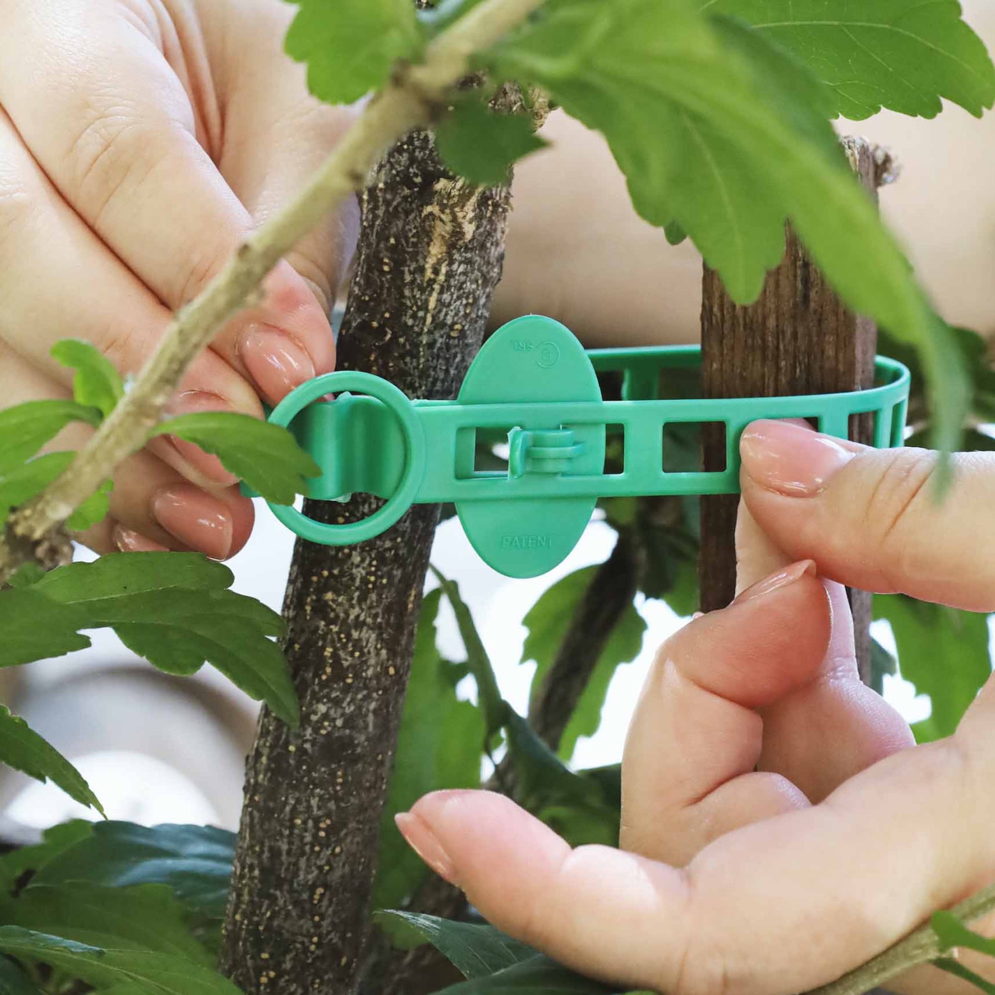 f09a32c0a91670825521bbc3318d82e2.jpg 1d156faf4c2cd4bbd9d8030a667b97e8