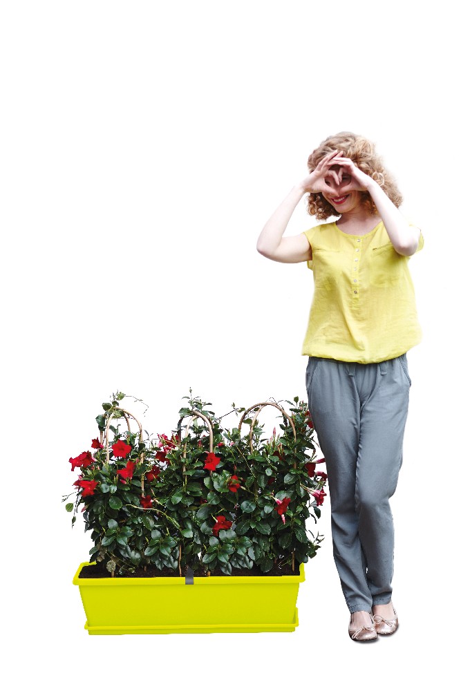 f97af00d90fd666b9c8a131744e16eea.jpg 48181c5facd8ede3a1b5483ba202cf6a