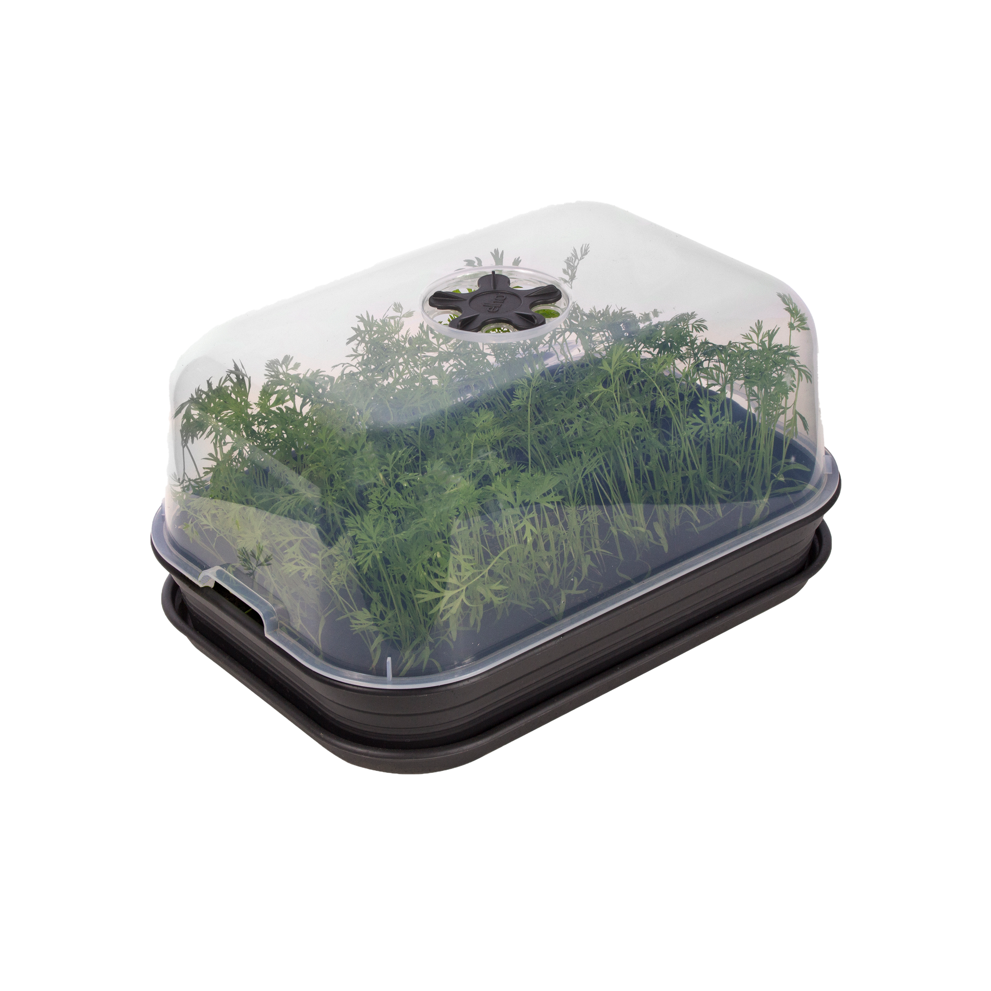 green_basics_grow_house_m_living_black_combination_tray_saucer.c1-4.png b66046040f961de025a8b6253ea1fe2e